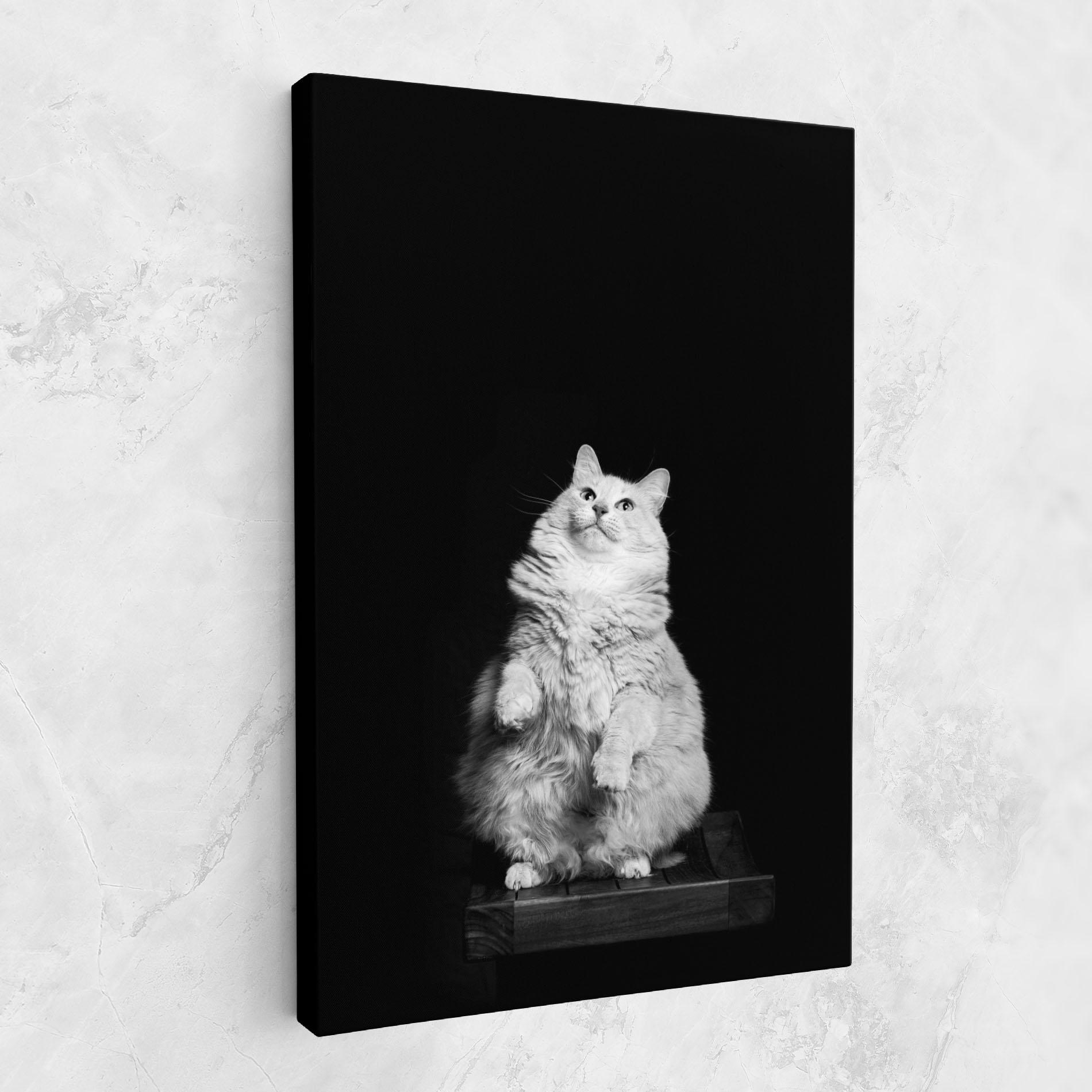 Leinwandbild Big Fluffy Cat mockup 1
