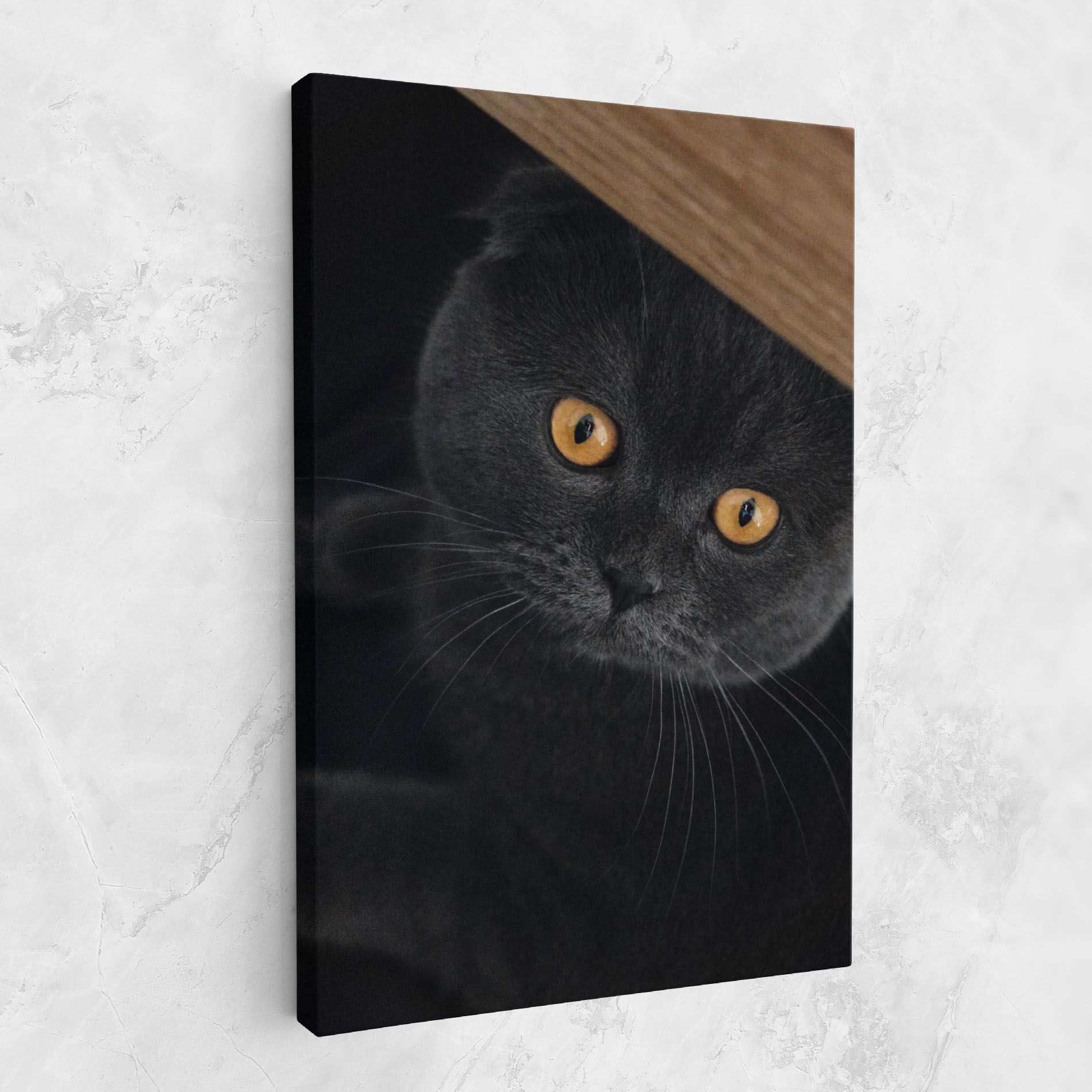 Grey Cat With Orange Eyes mockup 1