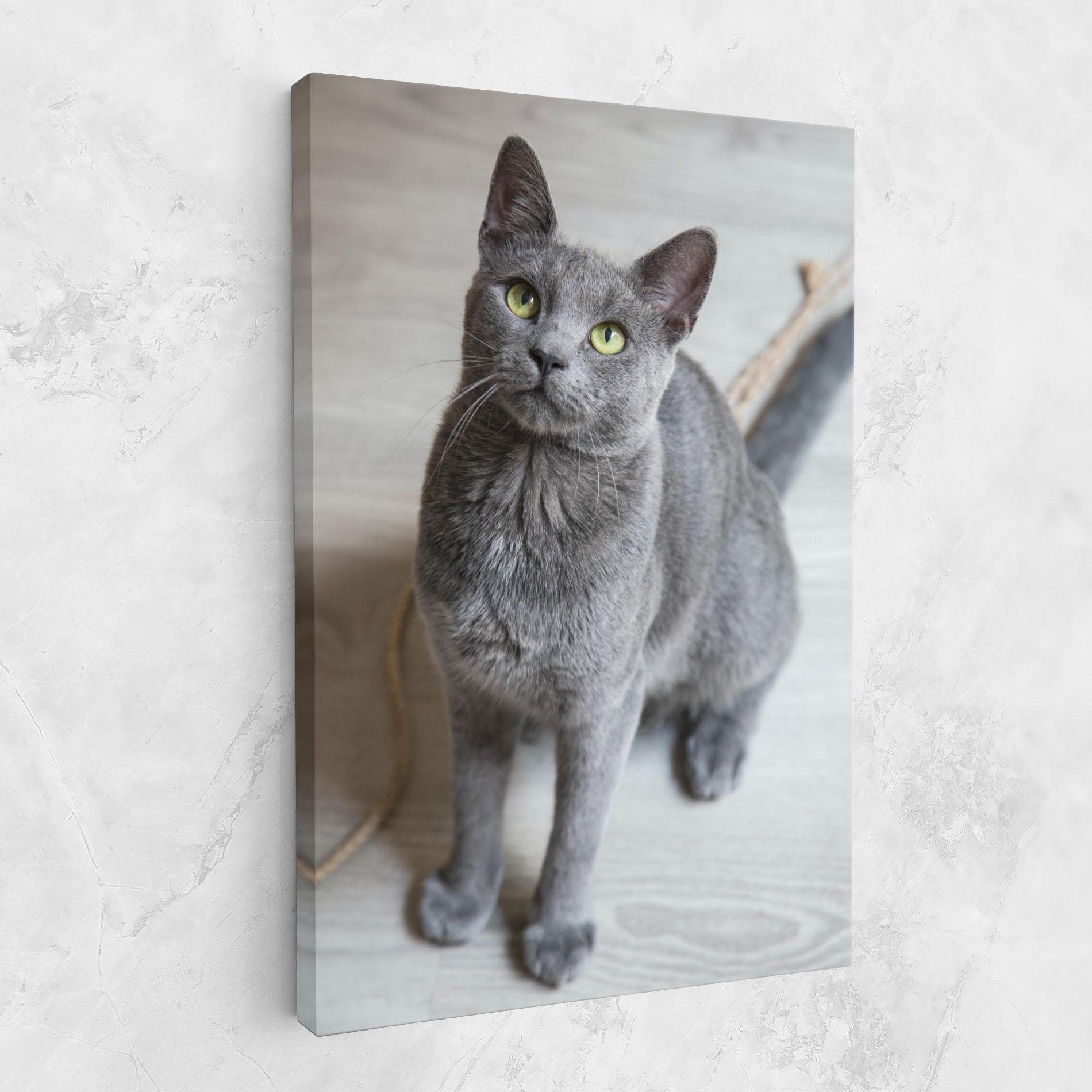 Leinwandbild Grey Green Cat Eyes mockup 1