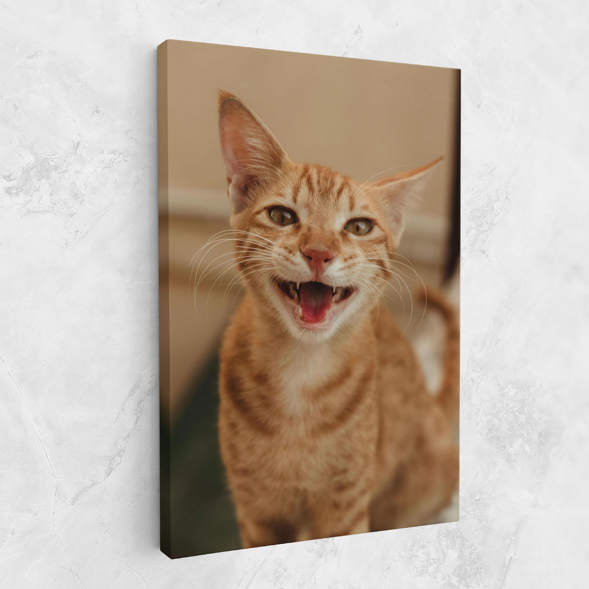 Leinwandbild Orange Cat Smiling mockup 1