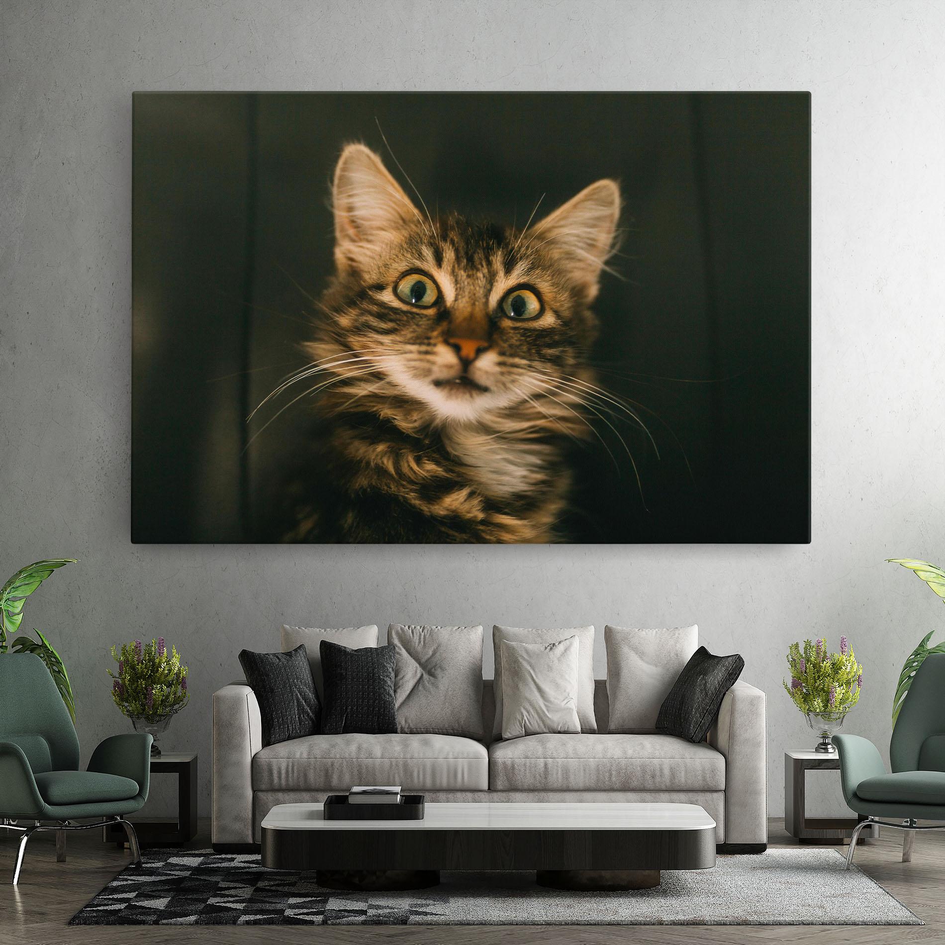 Leinwandbild Amazed Cat mockup 7