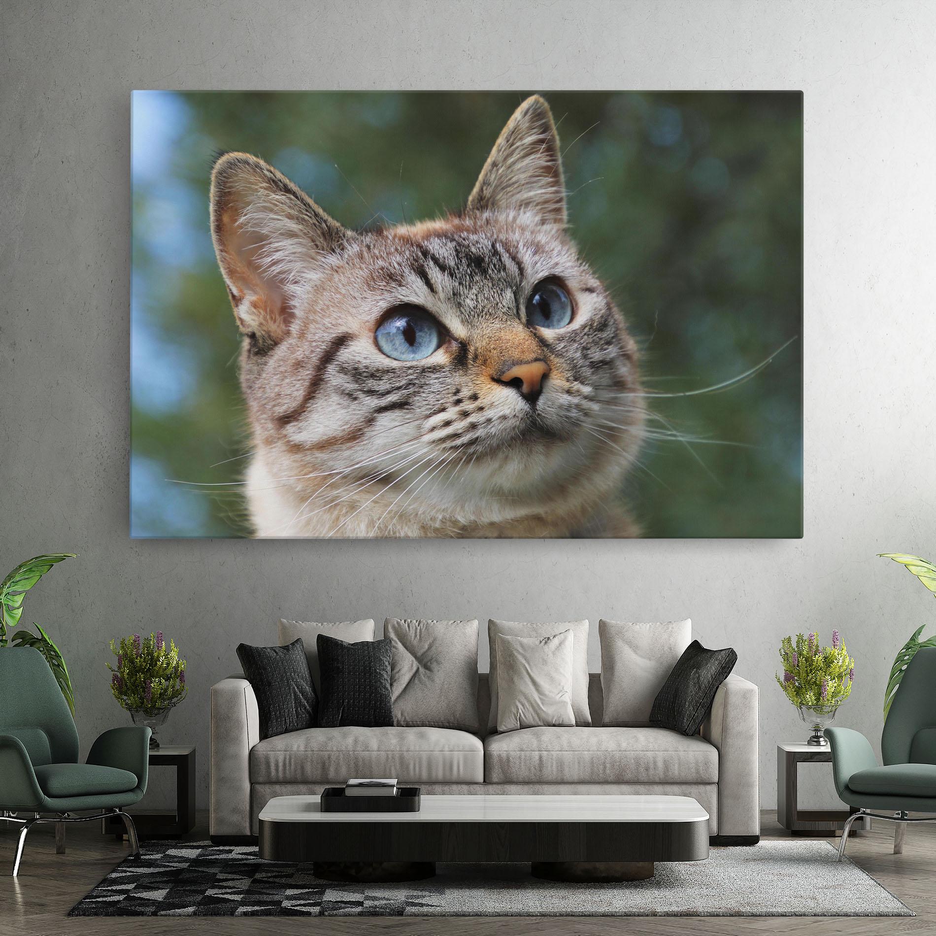 Leinwandbild Blue Eyes Cutie mockup 7