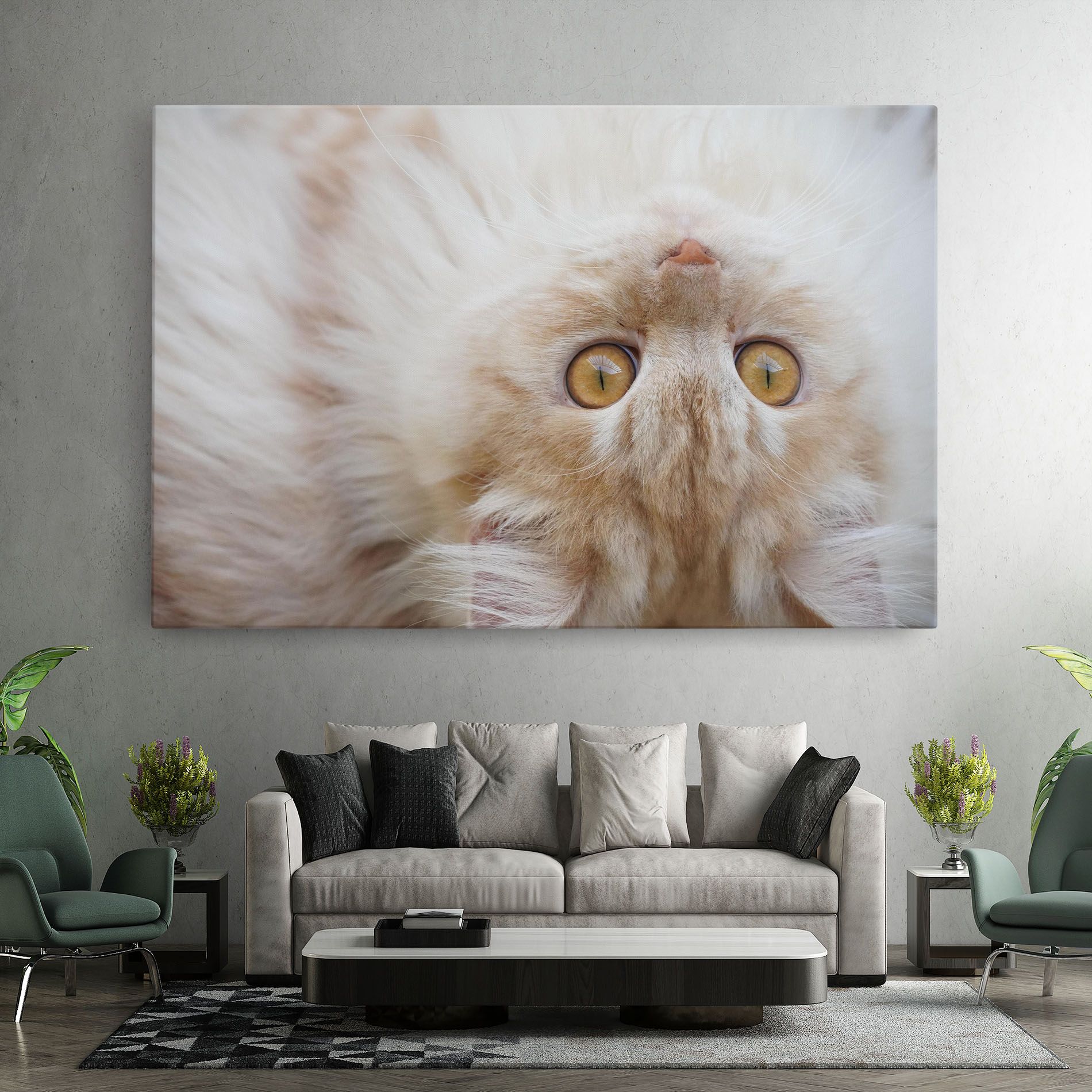 Close Up Yellow Eyes Cat mockup 7