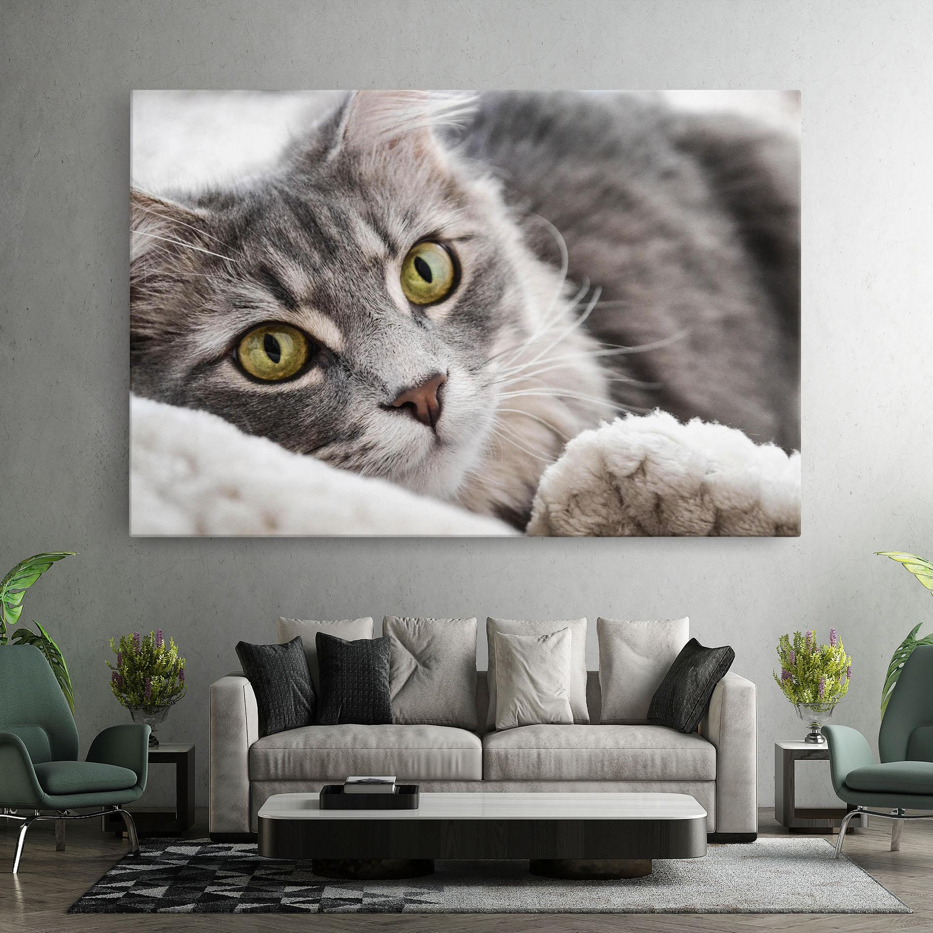 Leinwandbild Grey Fluffy Cat mockup 7