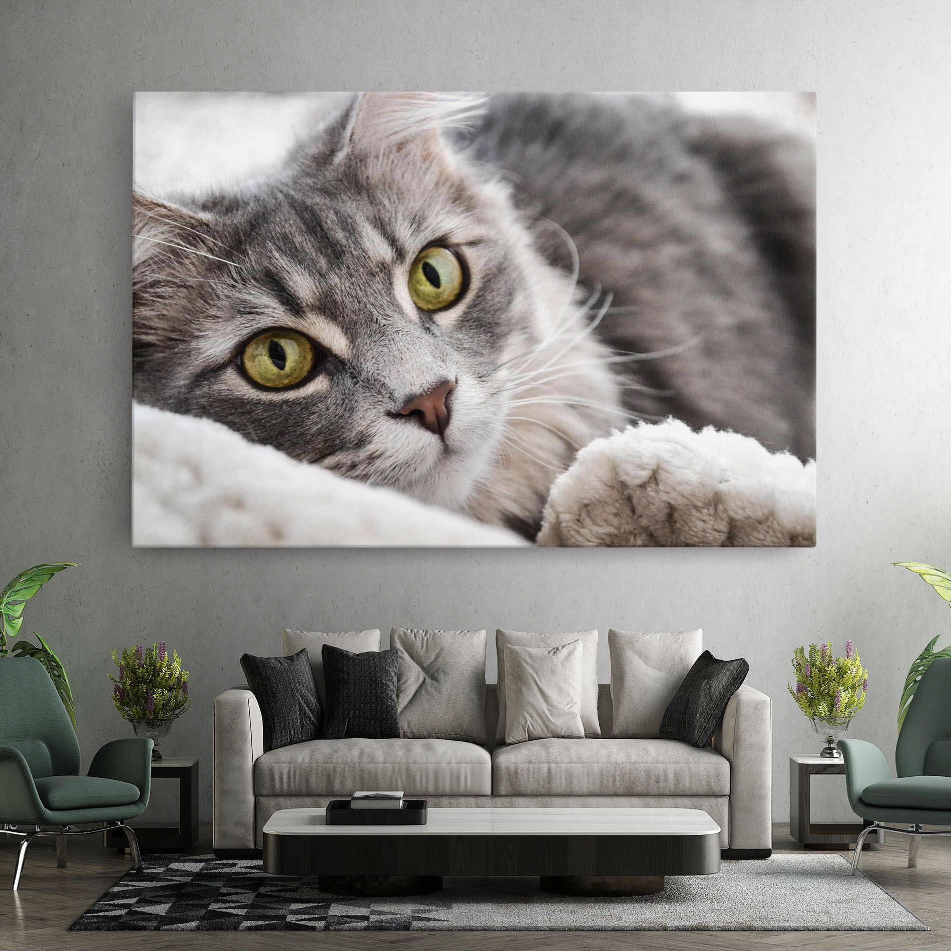 Grey Fluffy Cat mockup 7