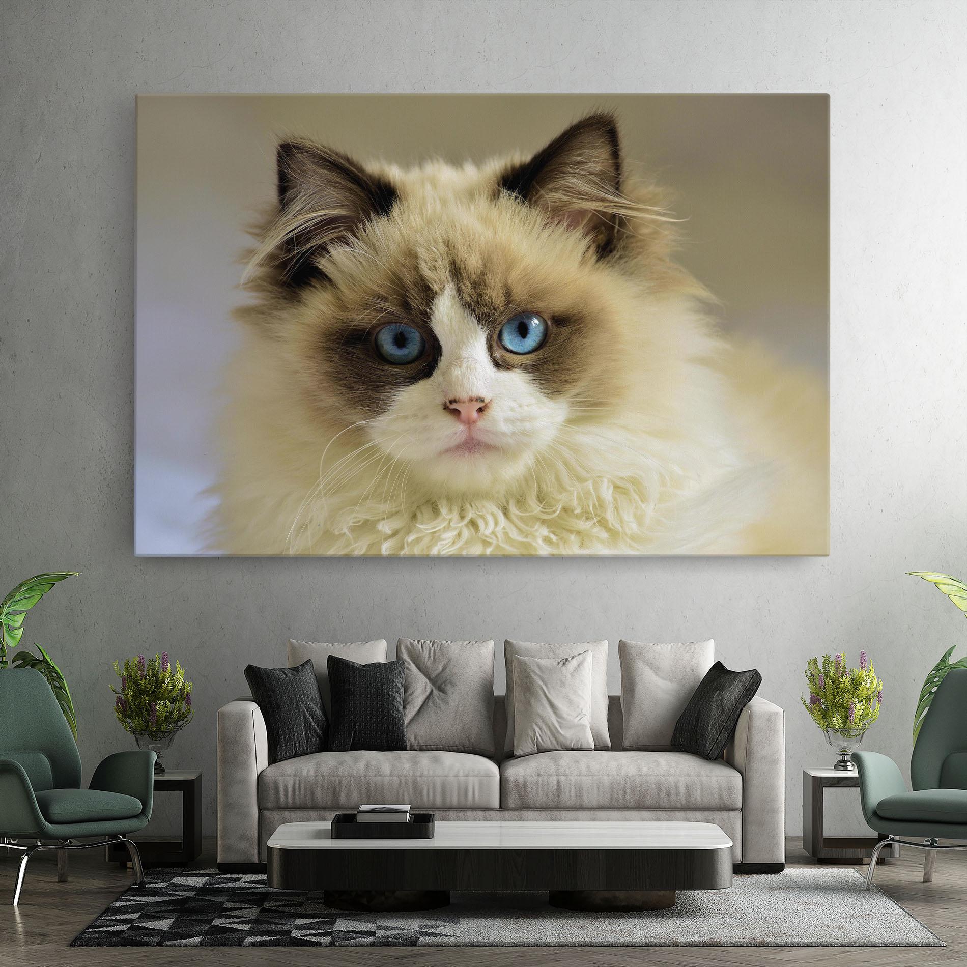 Leinwandbild Interesting Blue Eyes Cat mockup 7