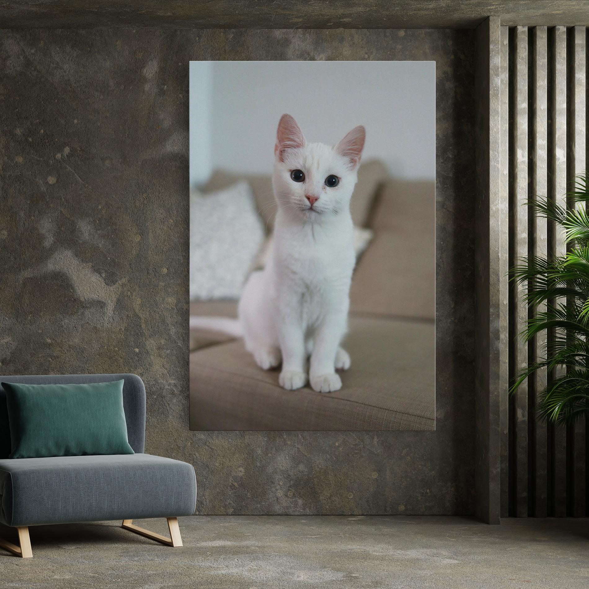 Leinwandbild Beautiful White Cat mockup 7