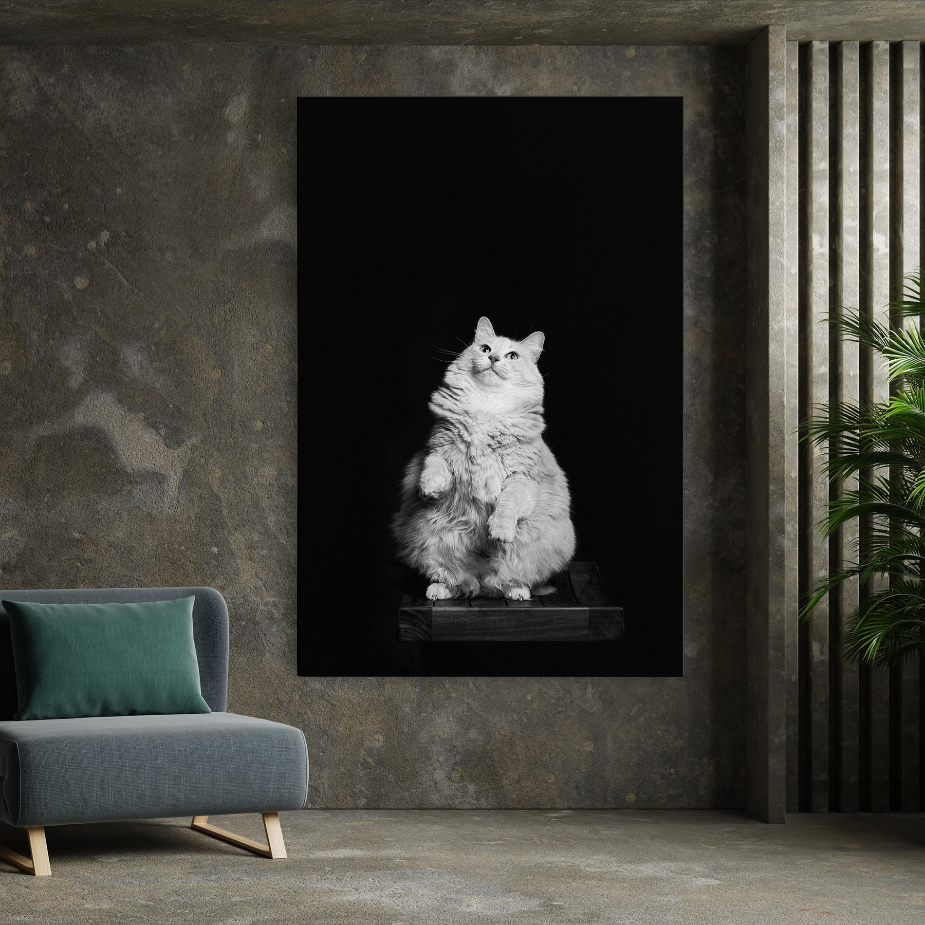 Leinwandbild Big Fluffy Cat mockup 7