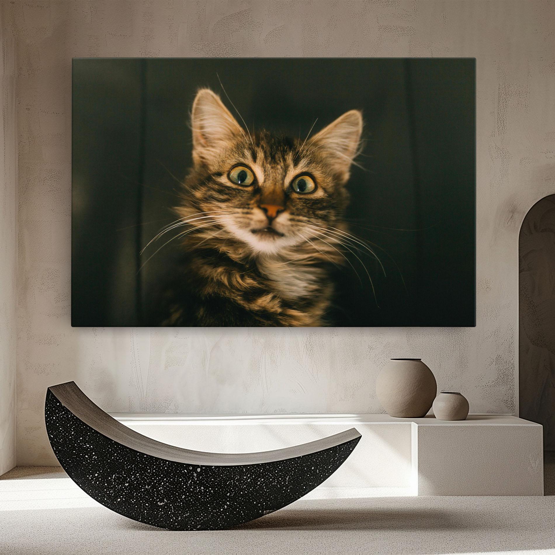 Leinwandbild Amazed Cat mockup 8