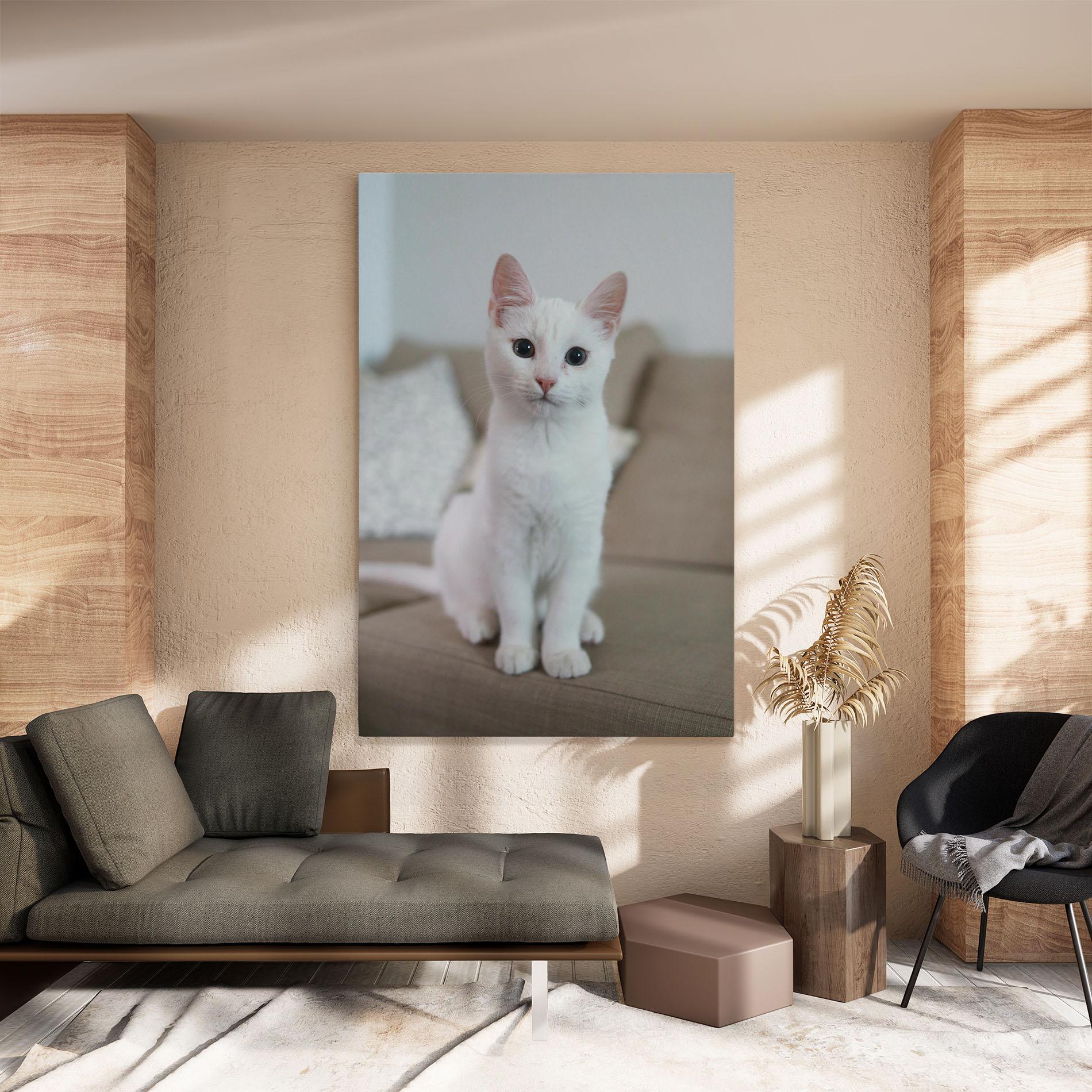 Leinwandbild Beautiful White Cat mockup 8