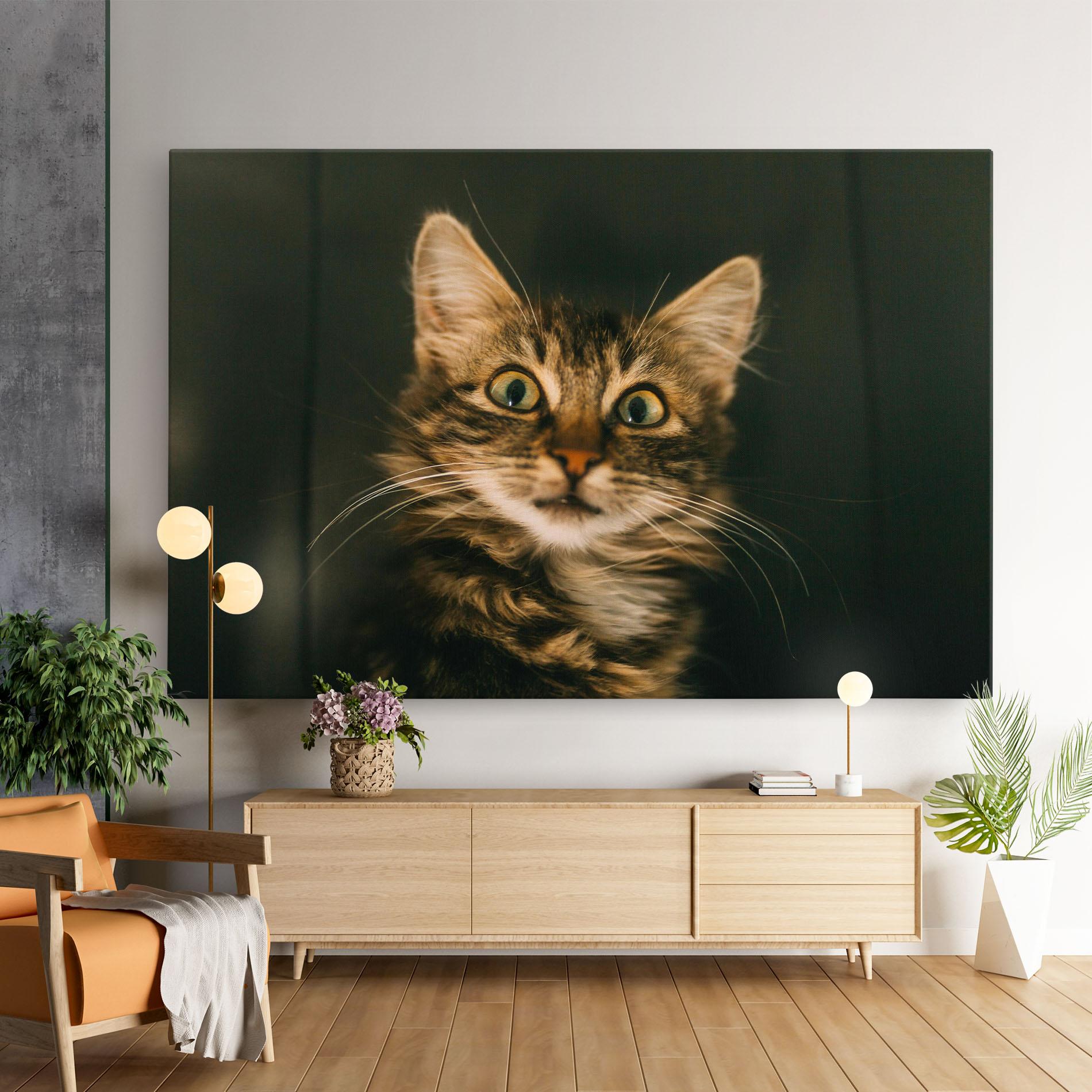 Leinwandbild Amazed Cat mockup 9