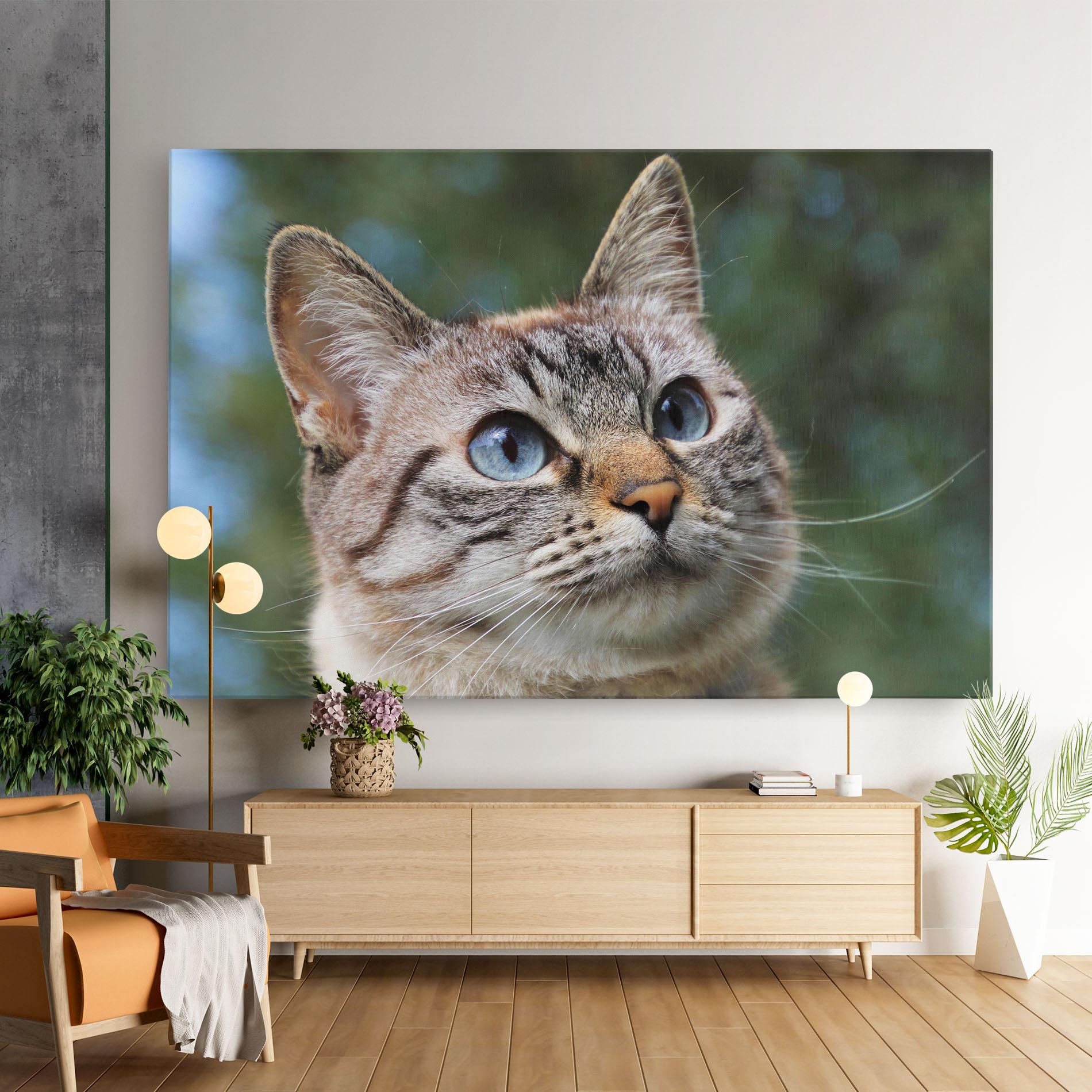 Leinwandbild Blue Eyes Cutie mockup 9