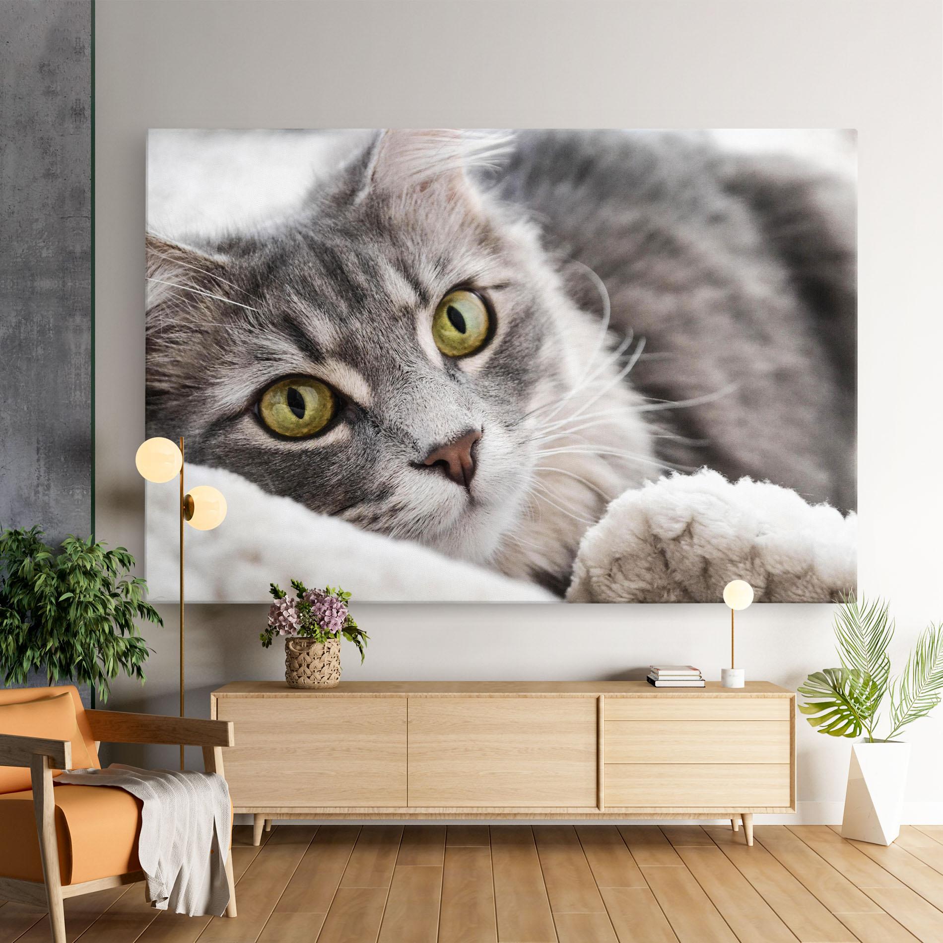 Leinwandbild Grey Fluffy Cat mockup 9