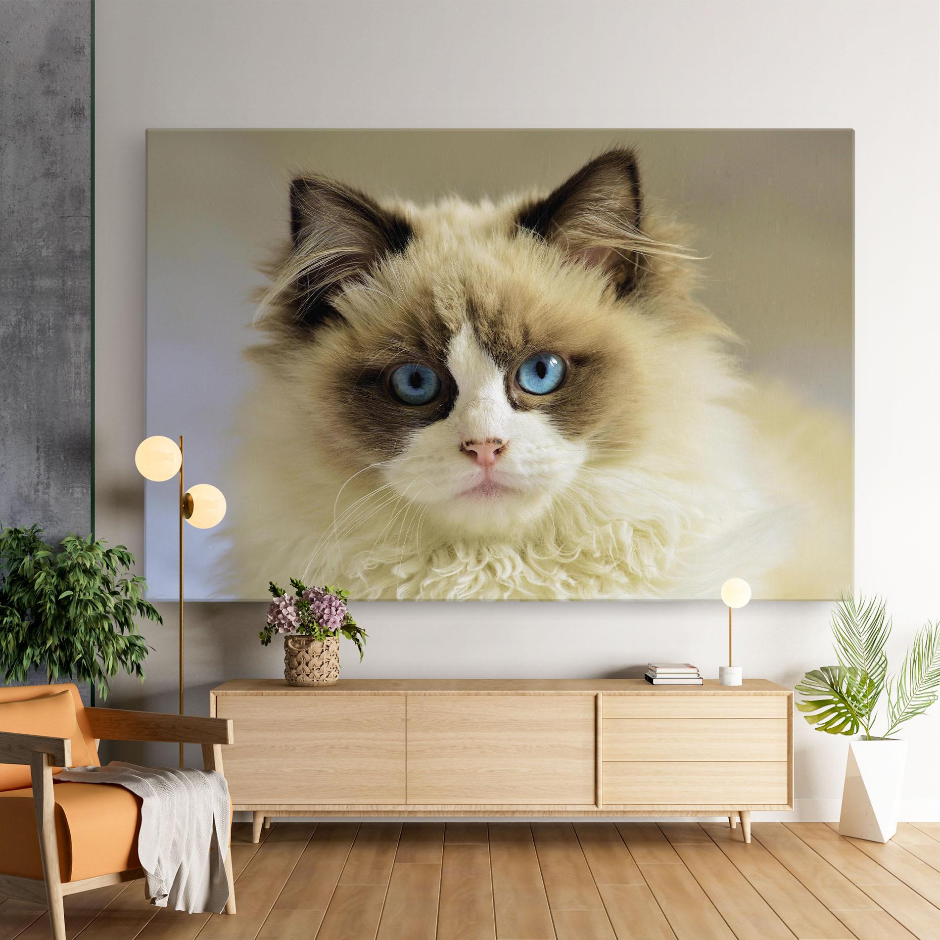 Leinwandbild Interesting Blue Eyes Cat mockup 9