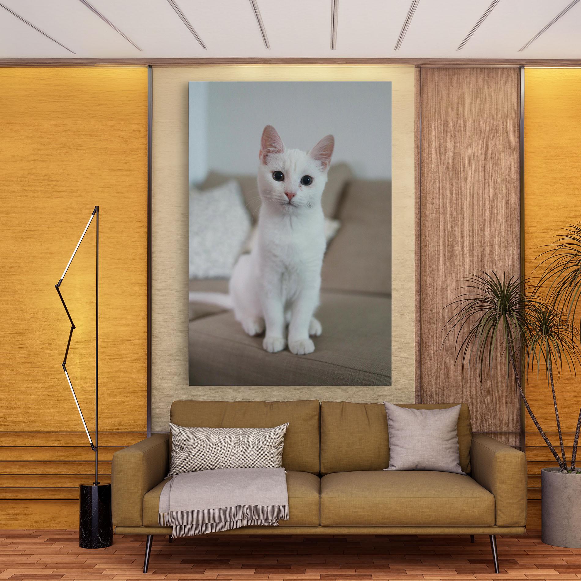 Leinwandbild Beautiful White Cat mockup 9