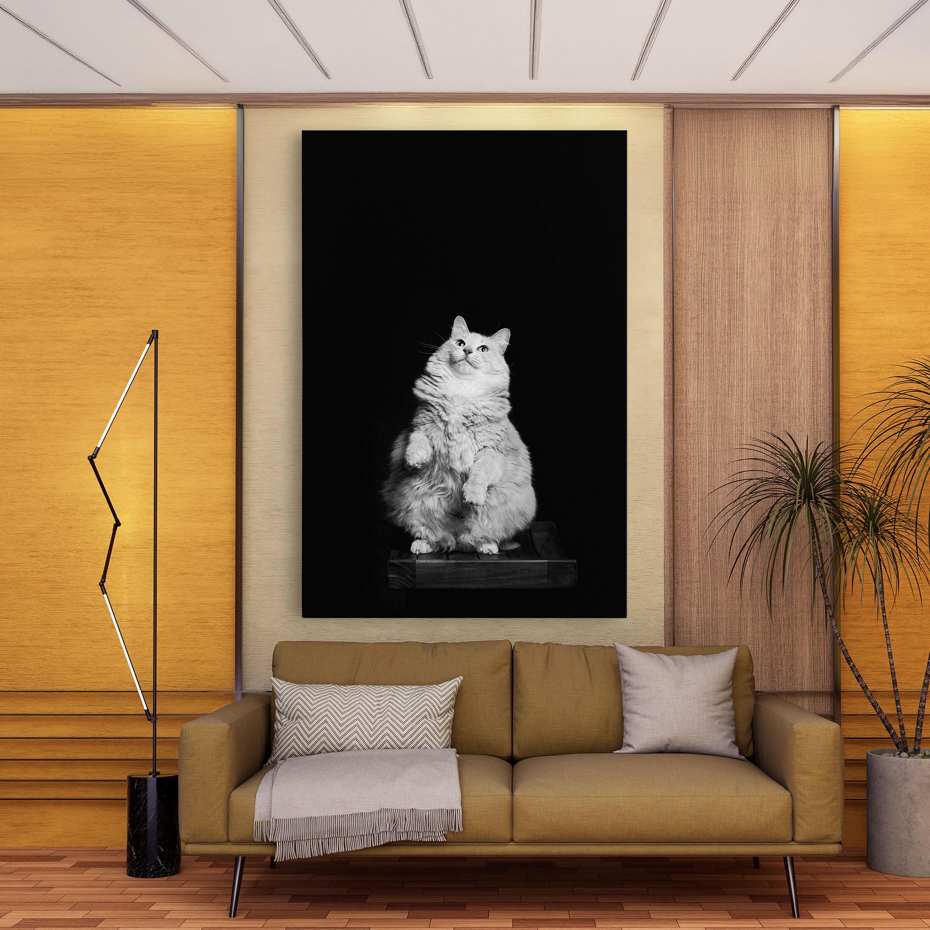 Leinwandbild Big Fluffy Cat mockup 9