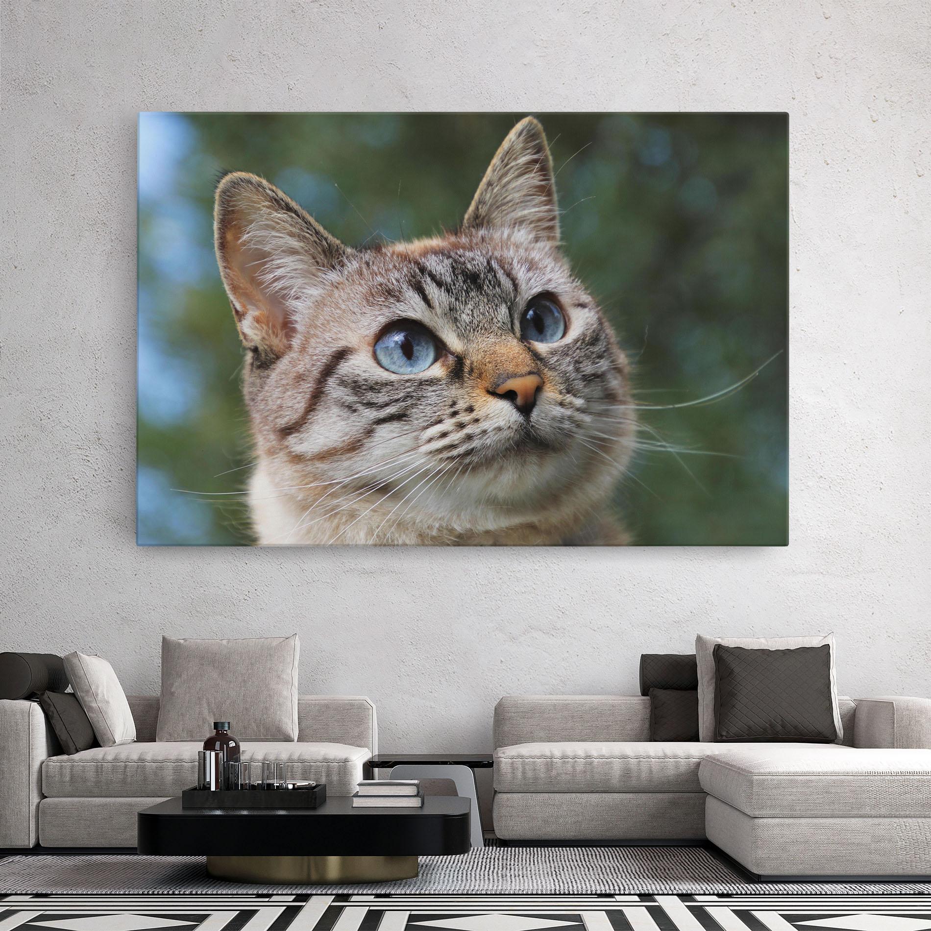 Leinwandbild Blue Eyes Cutie mockup 2