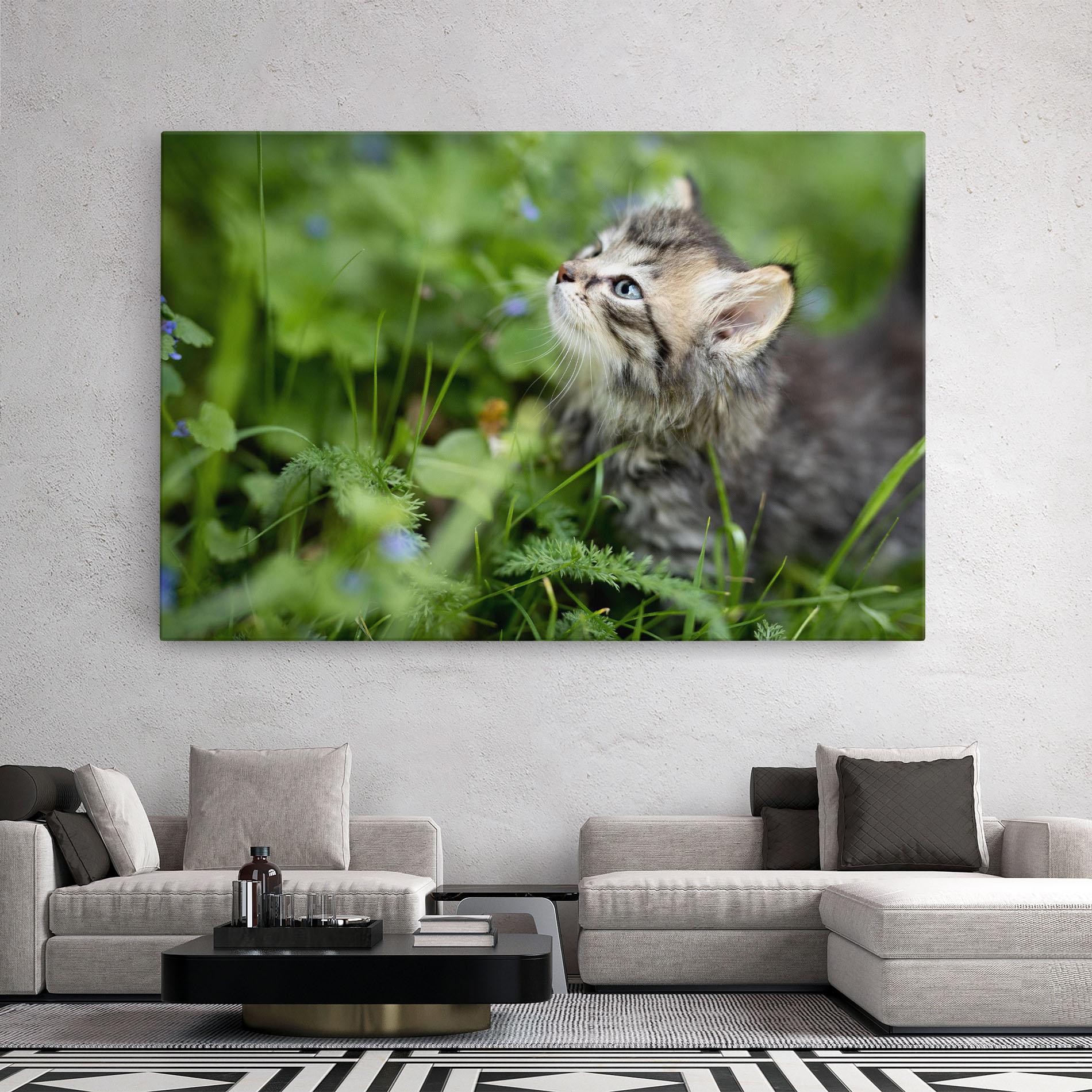 Leinwandbild Brown Baby Cat mockup 2