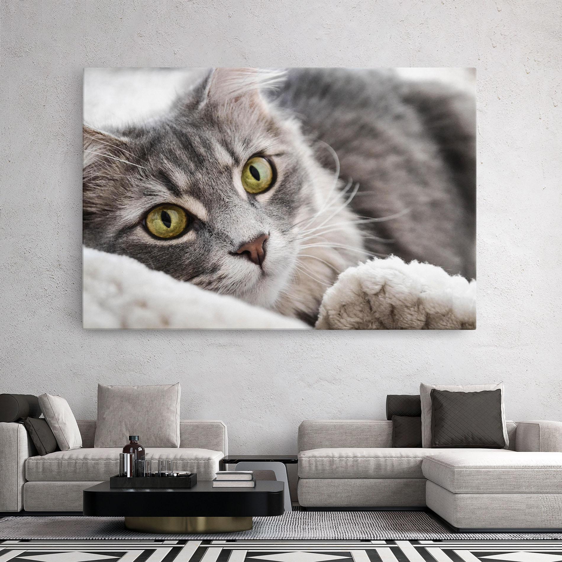 Leinwandbild Grey Fluffy Cat mockup 2