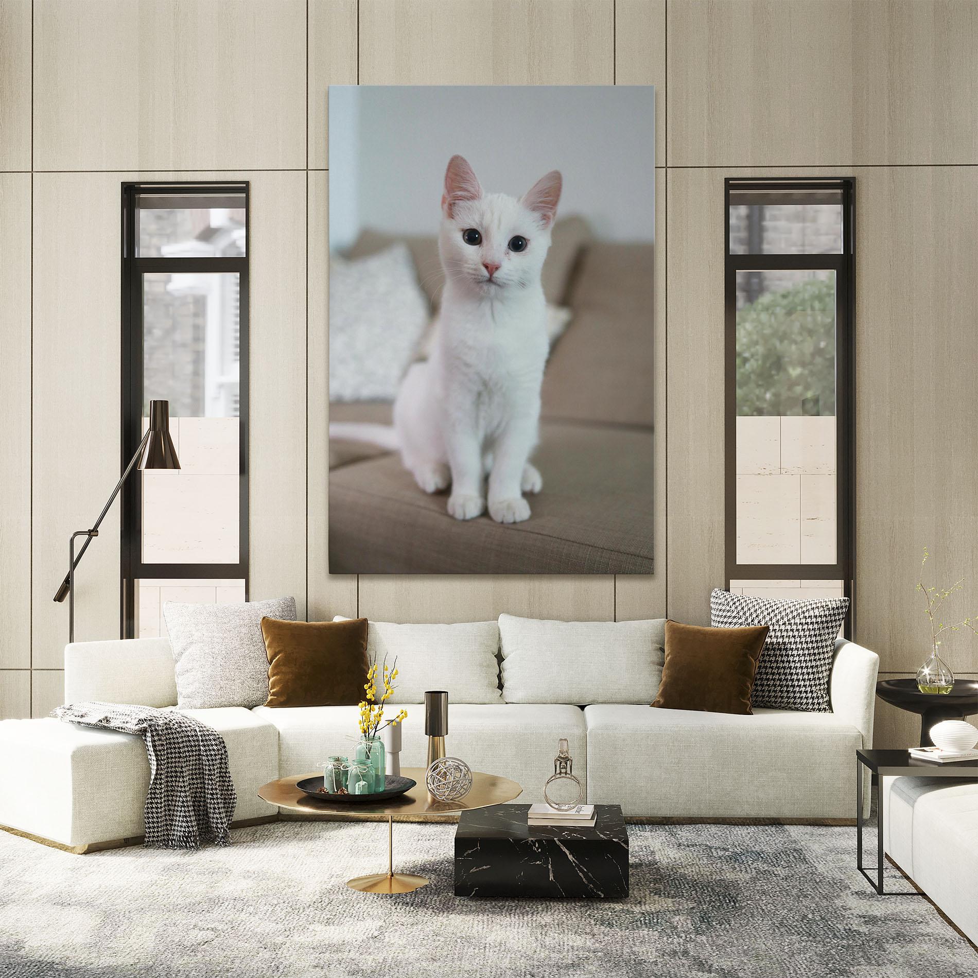 Leinwandbild Beautiful White Cat mockup 2