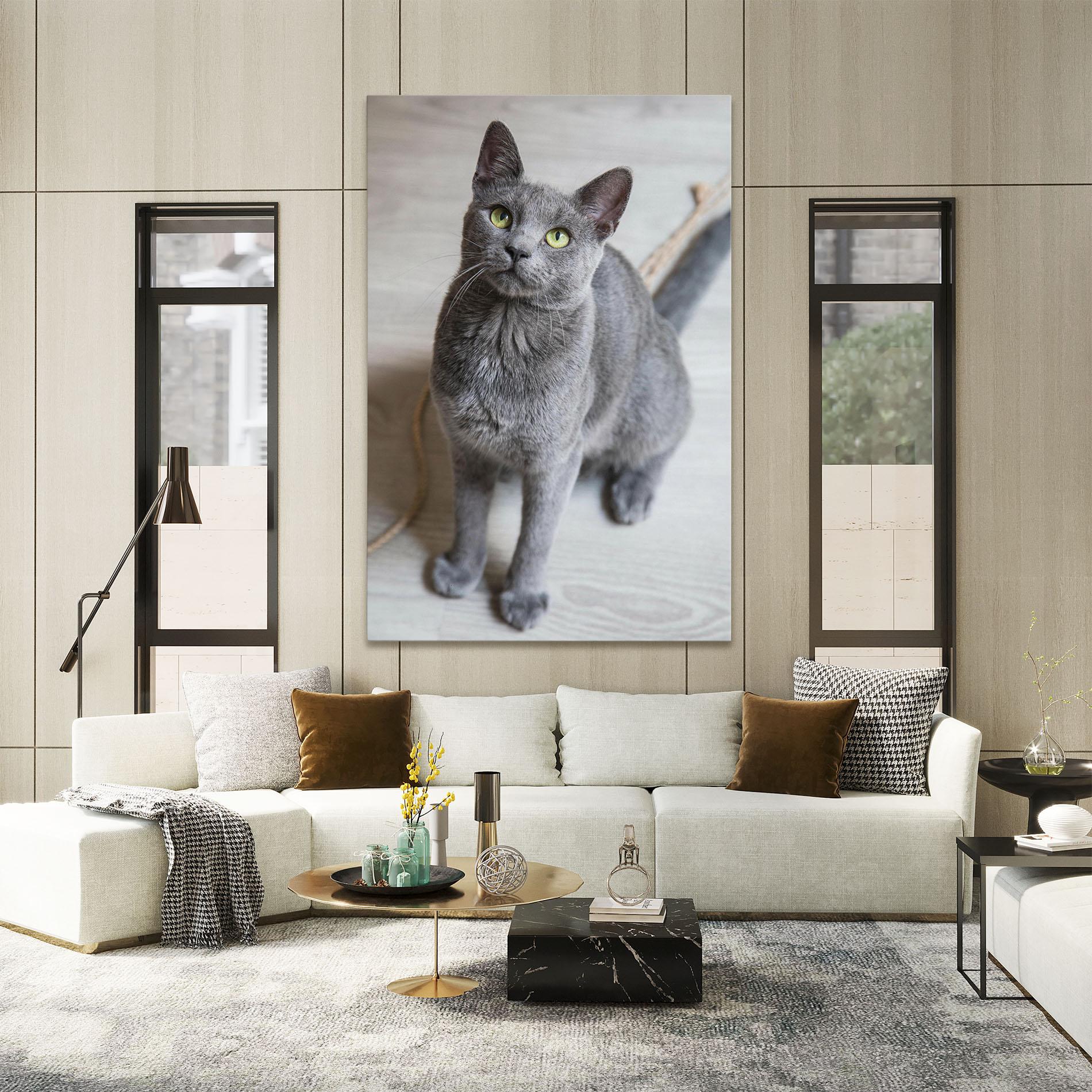 Leinwandbild Grey Green Cat Eyes mockup 2