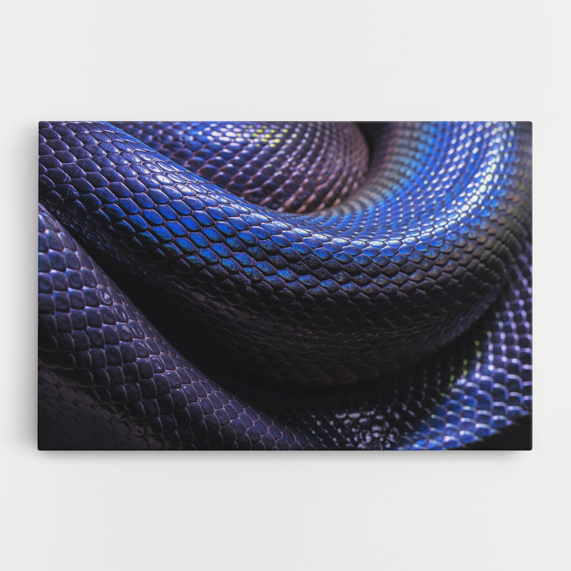 Leinwandbild Snake Skin mockup 0