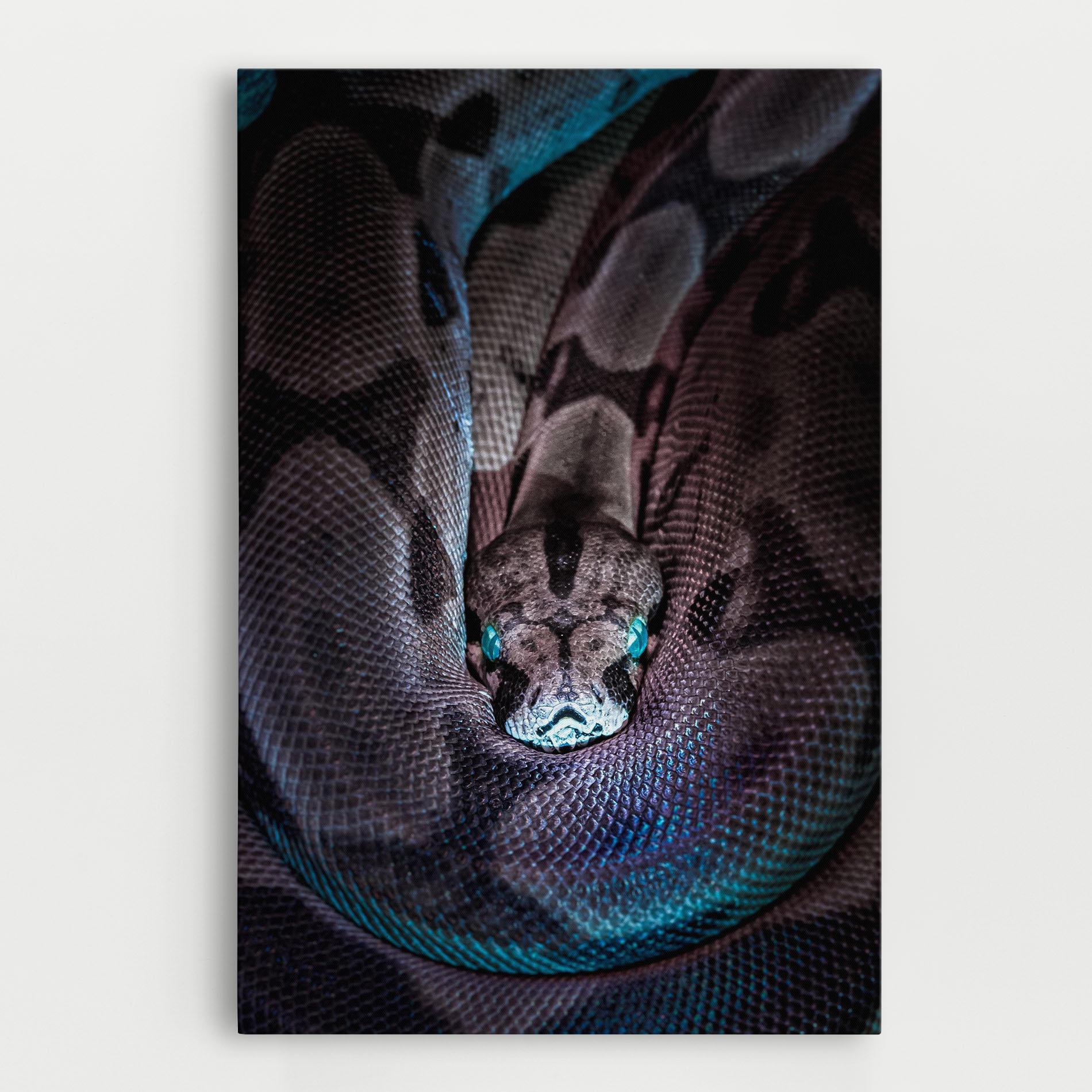 Leinwandbild Vibrant Snake mockup 0