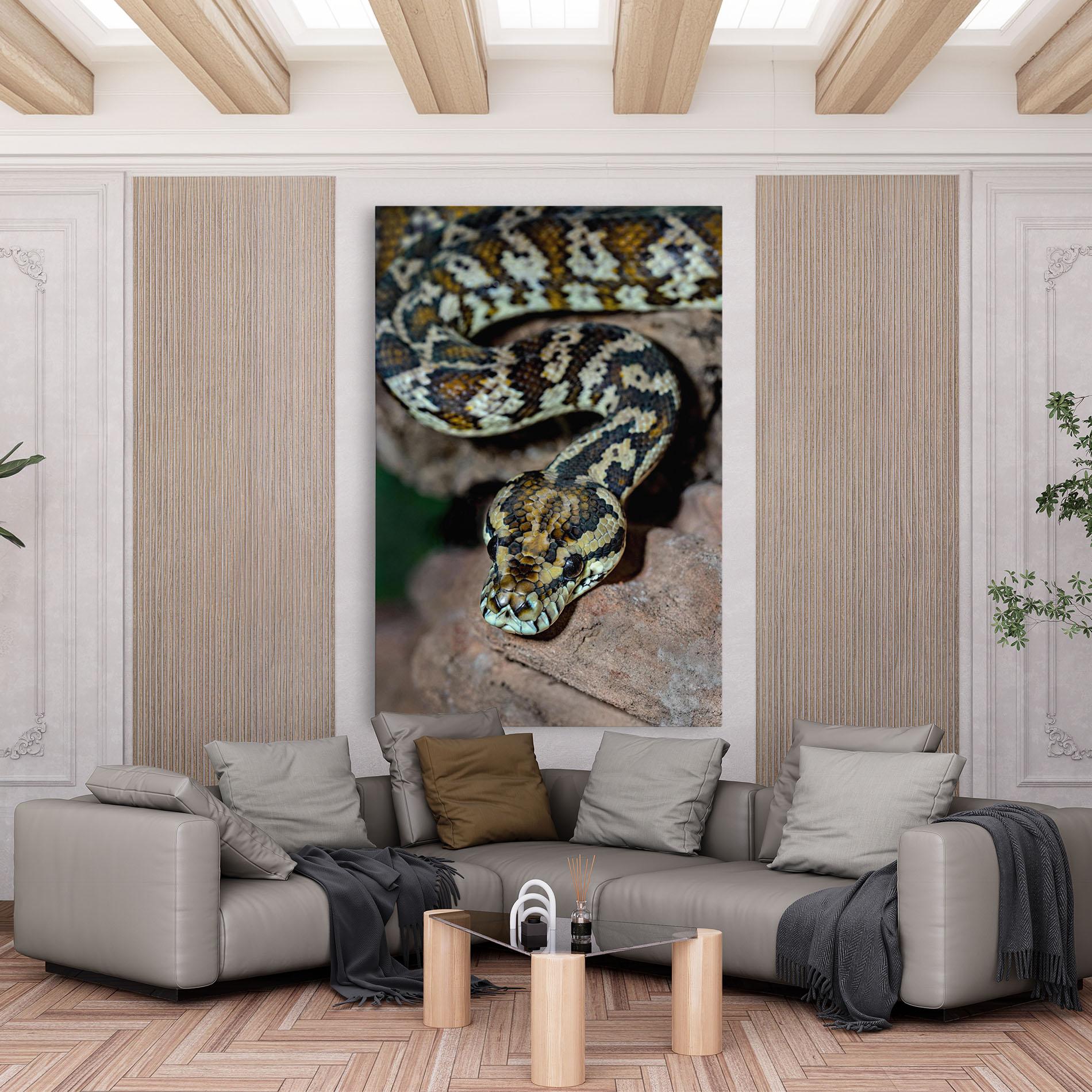 Leinwandbild King Snake mockup 6