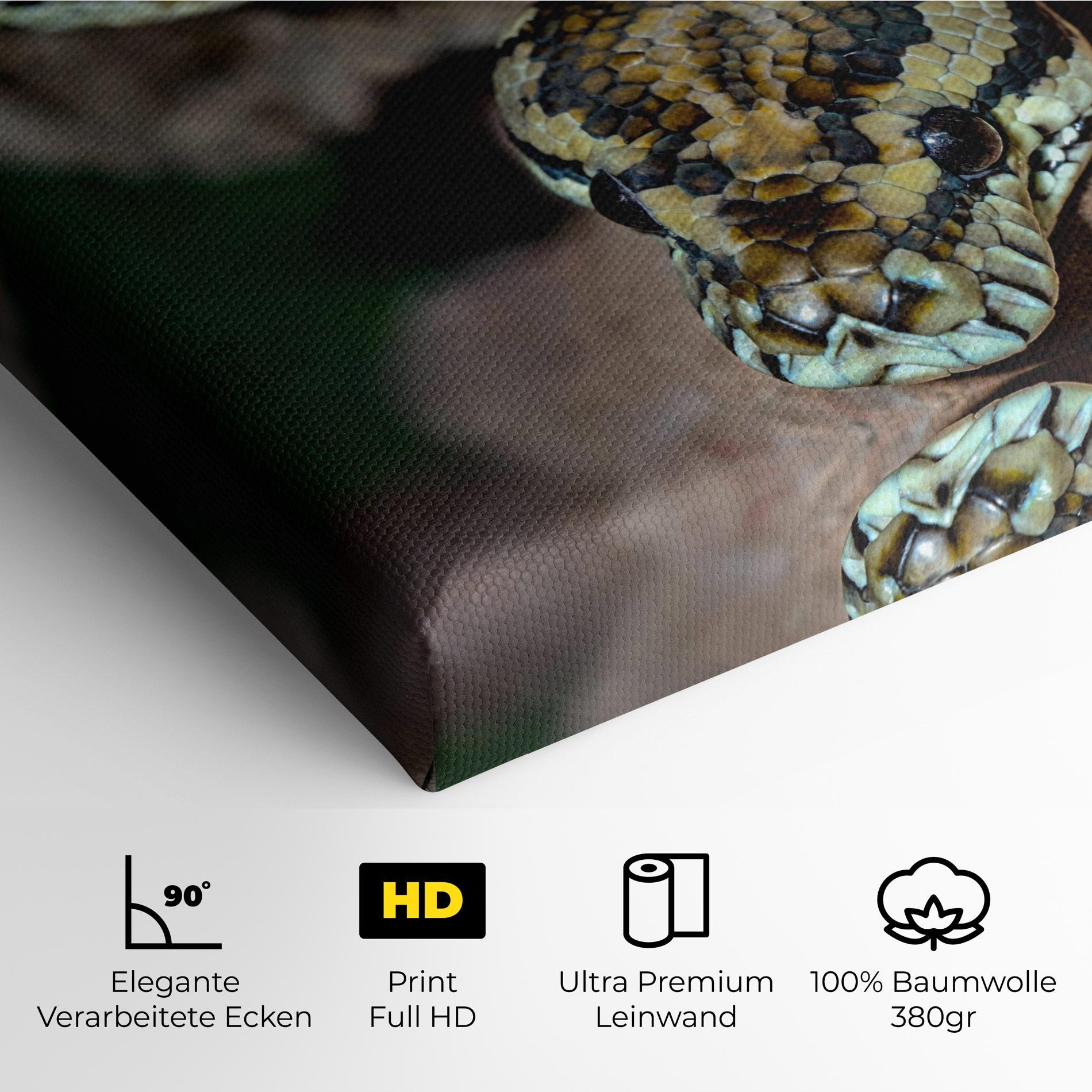 Leinwandbild King Snake mockup 4
