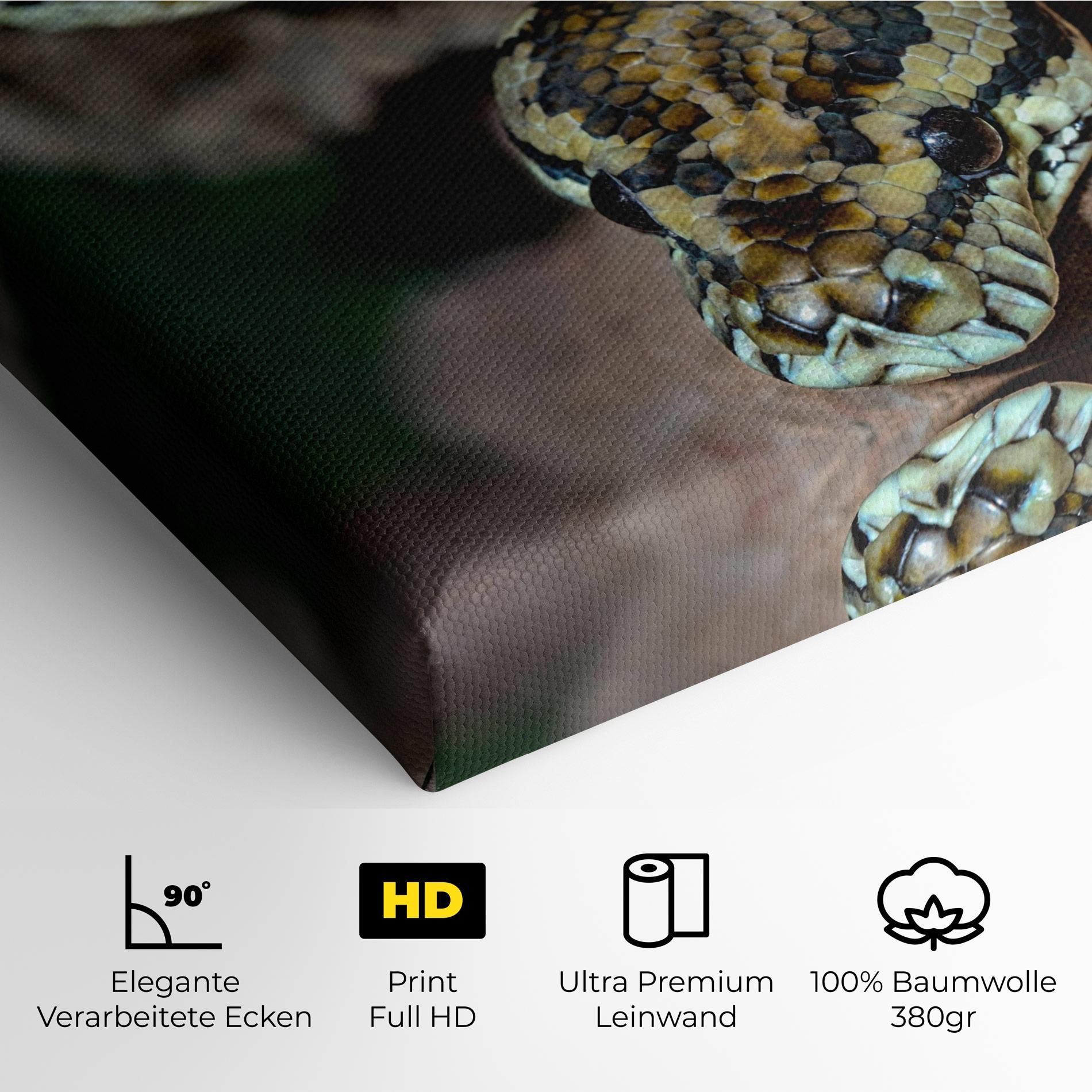 King Snake mockup 4
