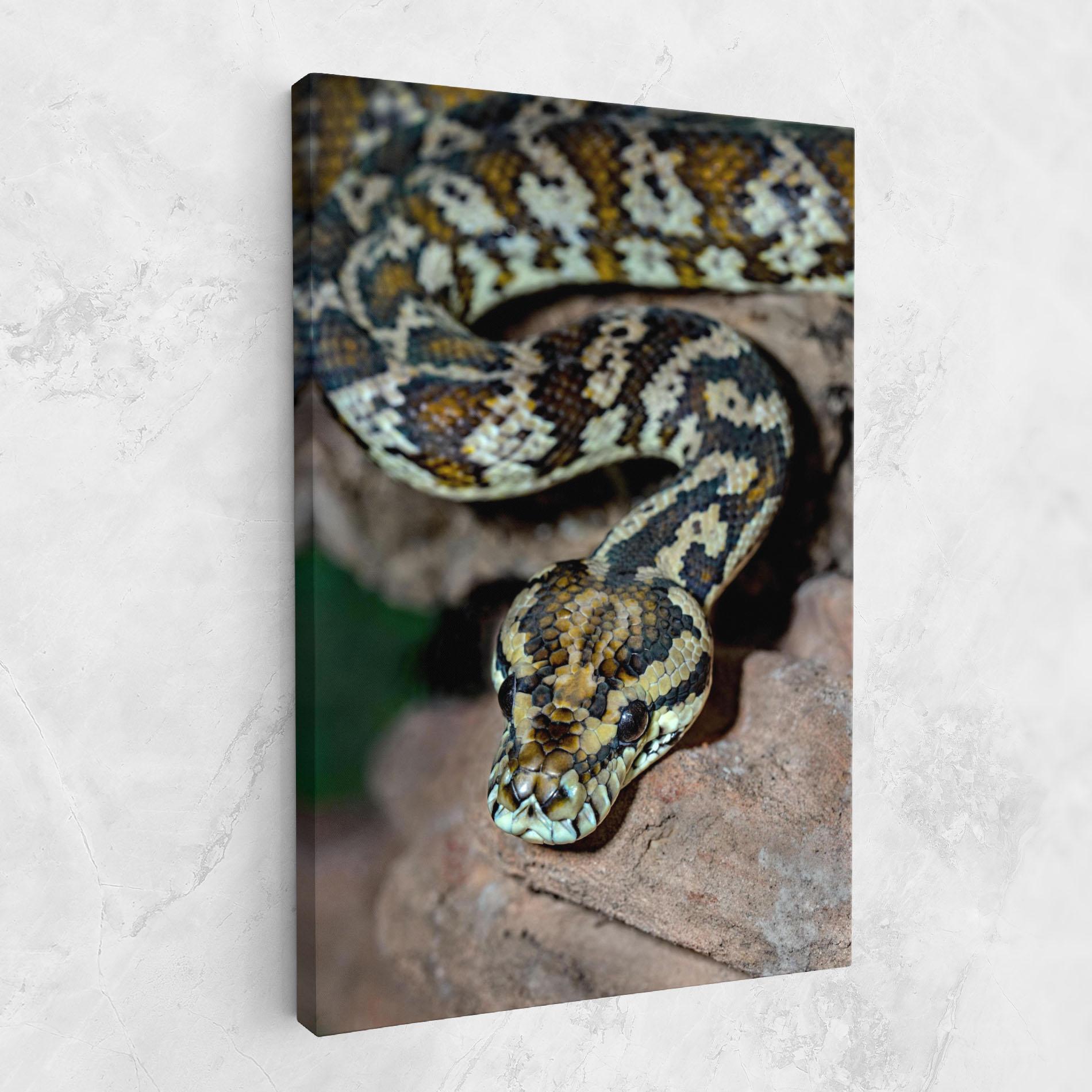 Leinwandbild King Snake mockup 1