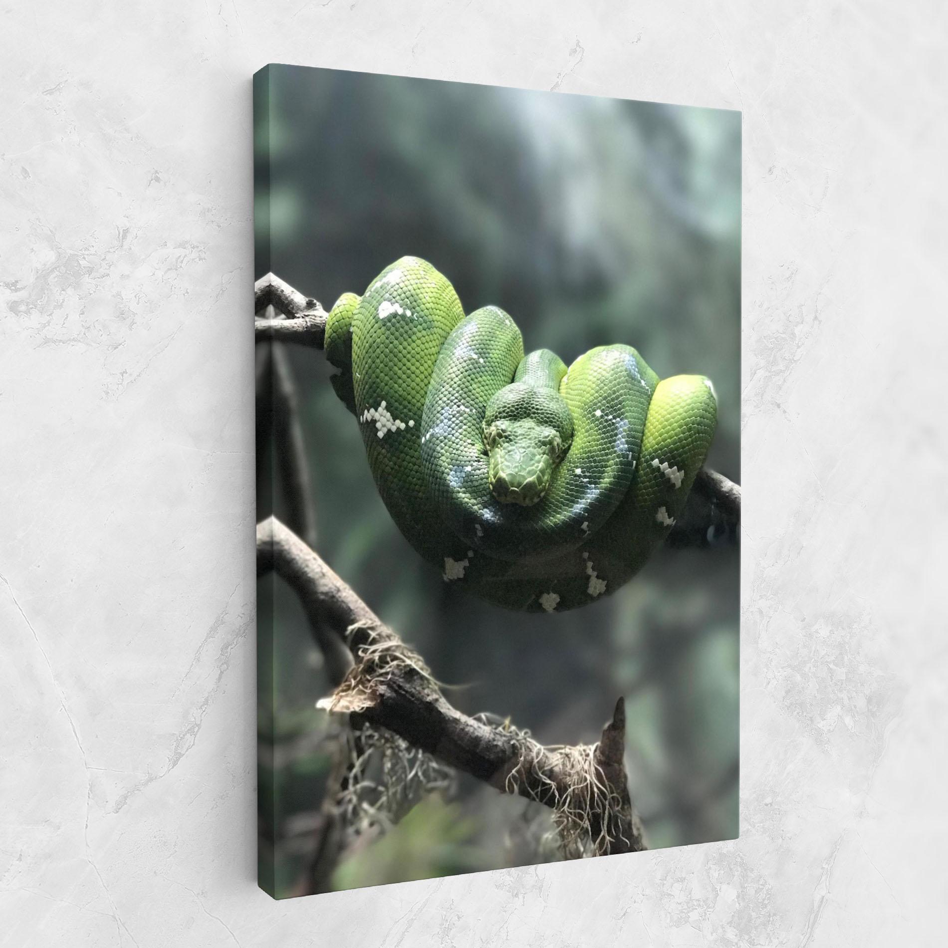 Leinwandbild Sleepy Snake mockup 1