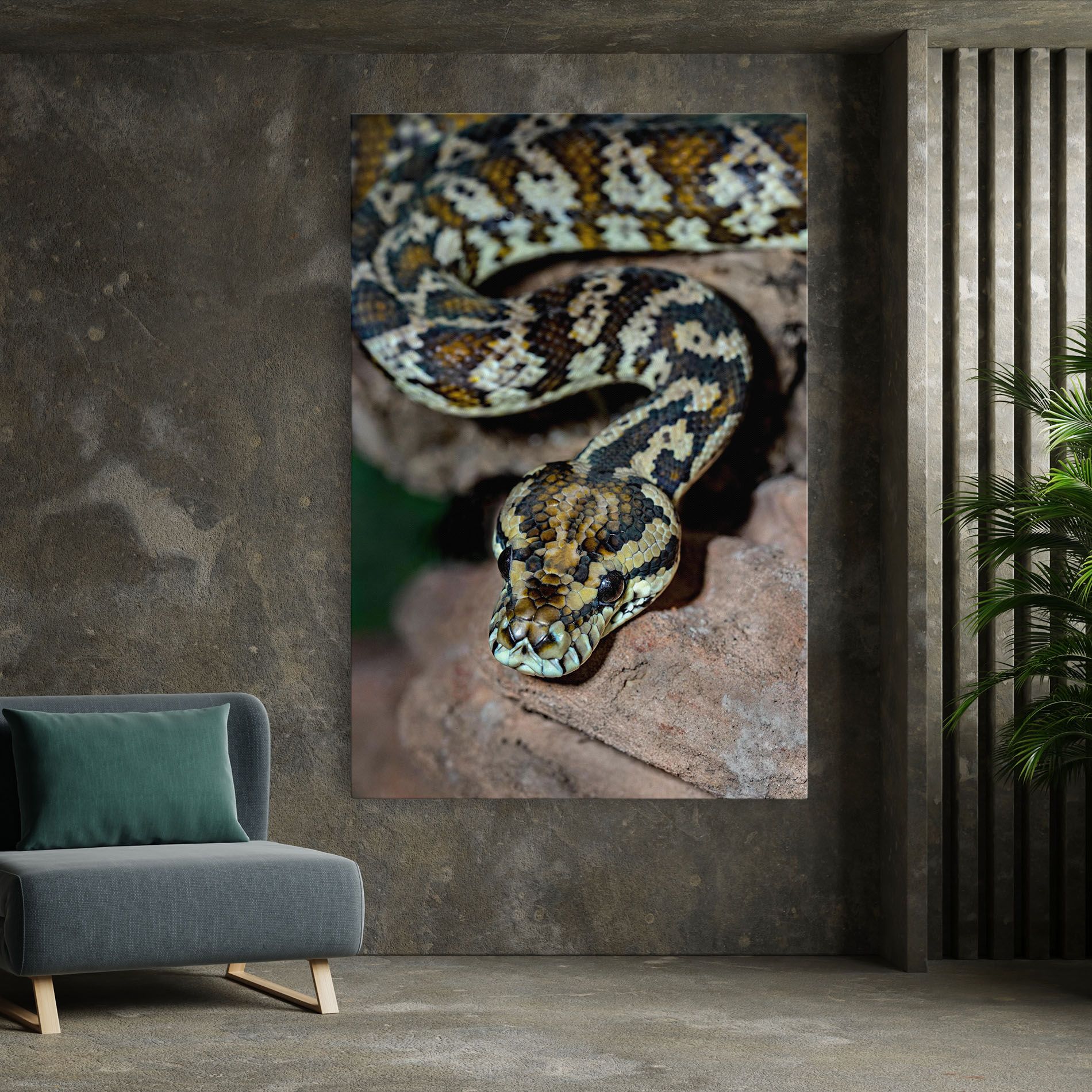 King Snake mockup 7
