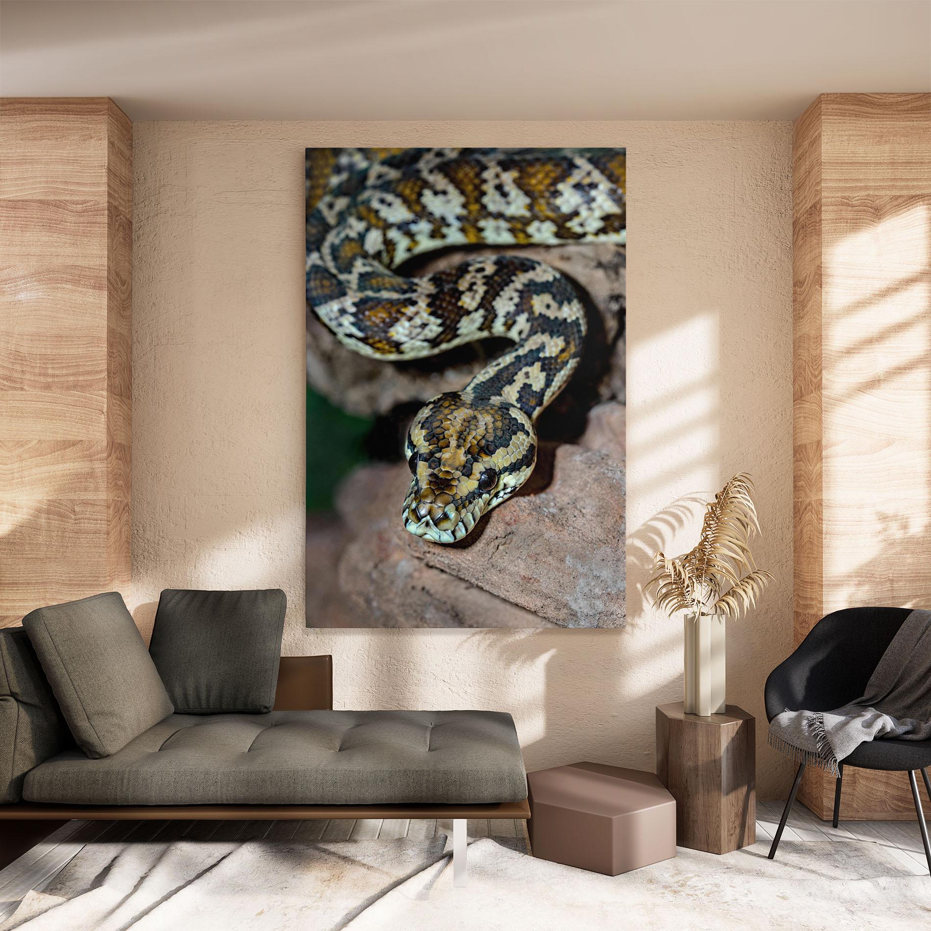 Leinwandbild King Snake mockup 8