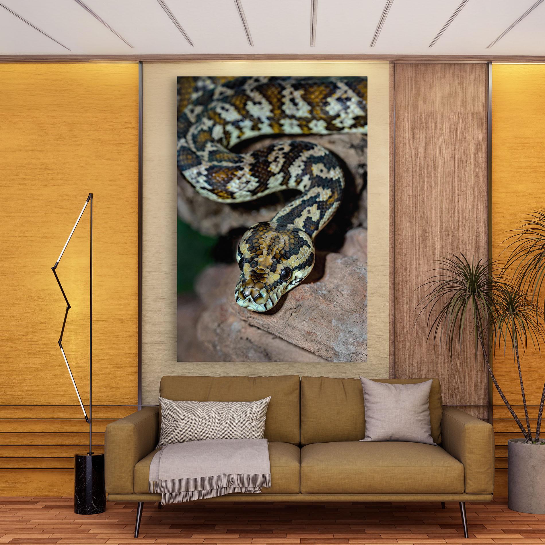 Leinwandbild King Snake mockup 9