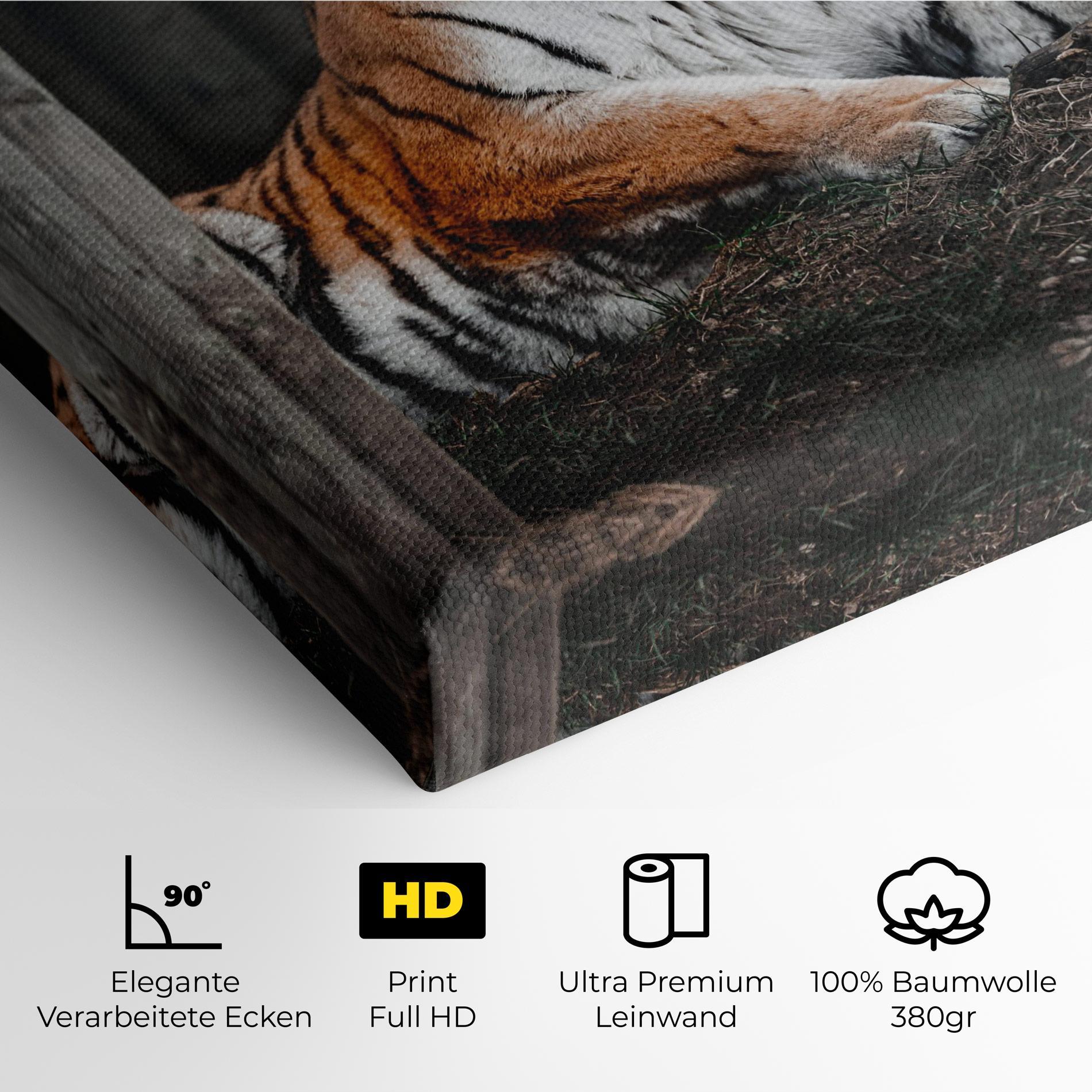 Leinwandbild Forest Tiger mockup 4