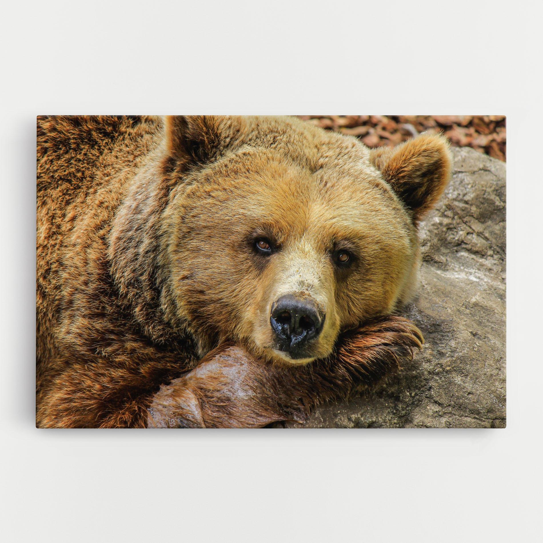 Leinwandbild Bear mockup 0