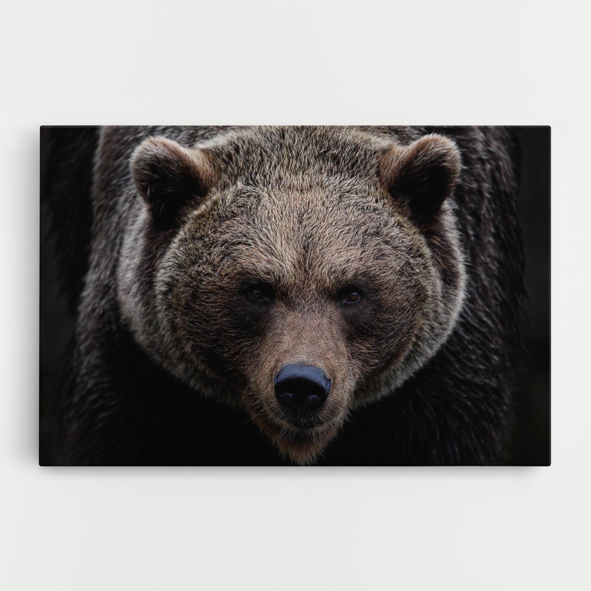 Leinwandbild Brown Bear mockup 0