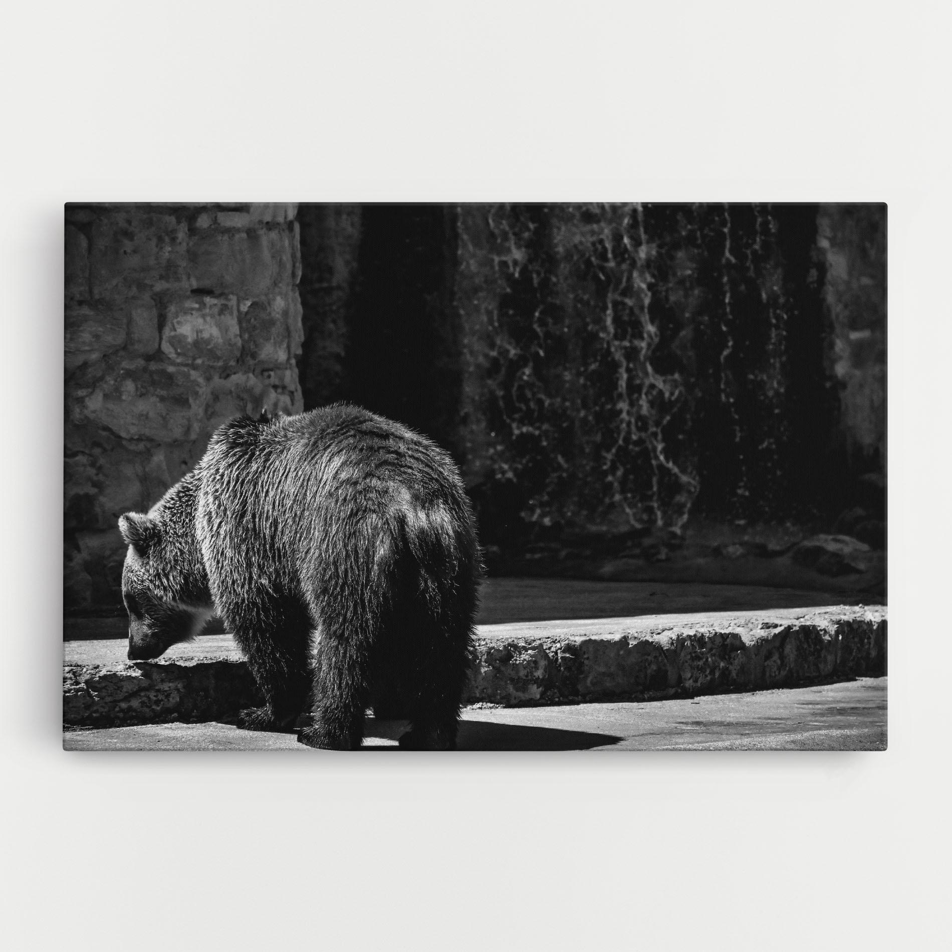 Leinwandbild Grey Bear mockup 0