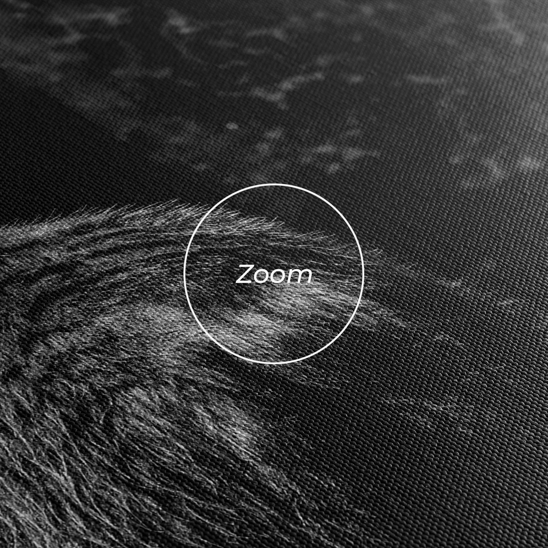 Leinwandbild Grey Bear mockup 3