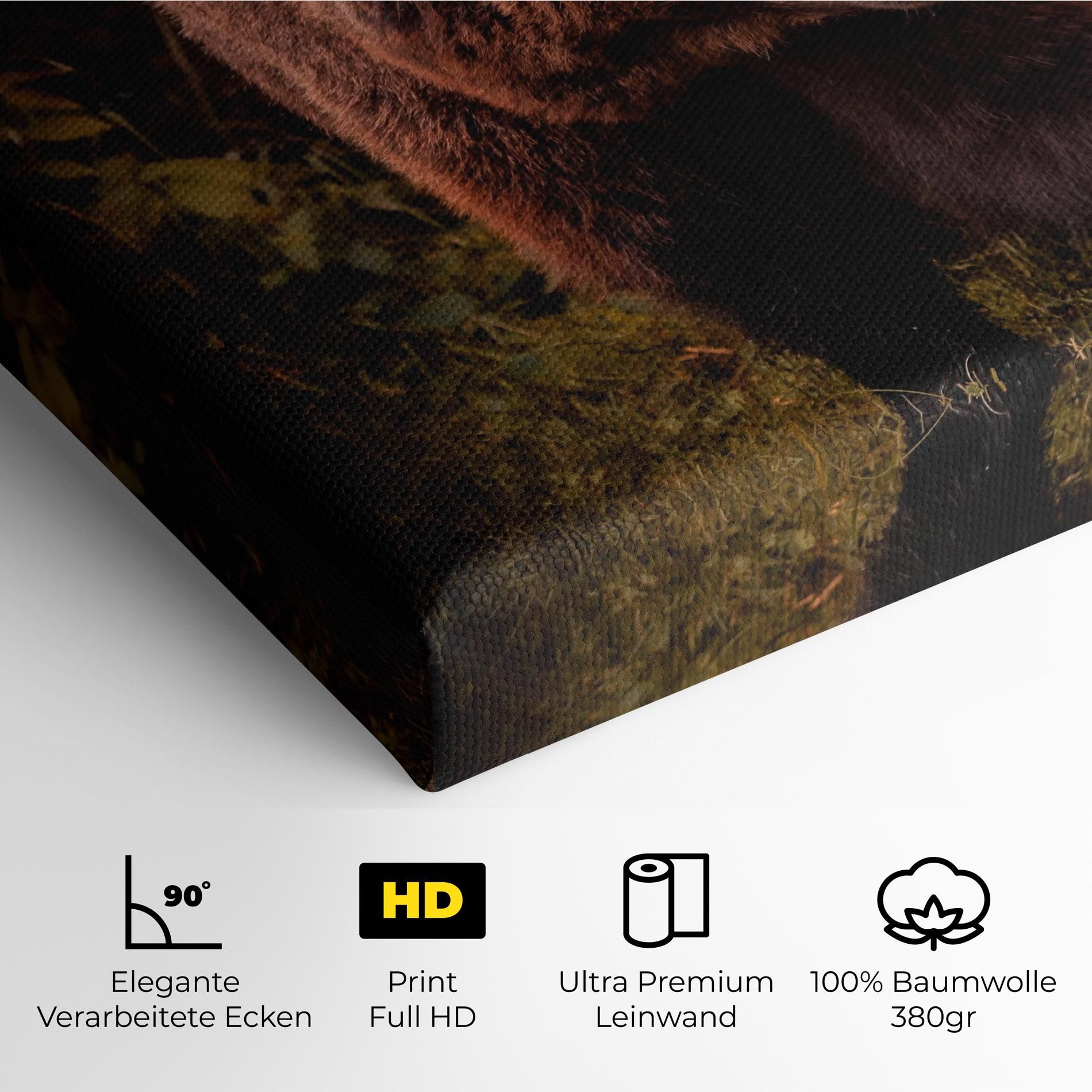 Brown Bear mockup 4