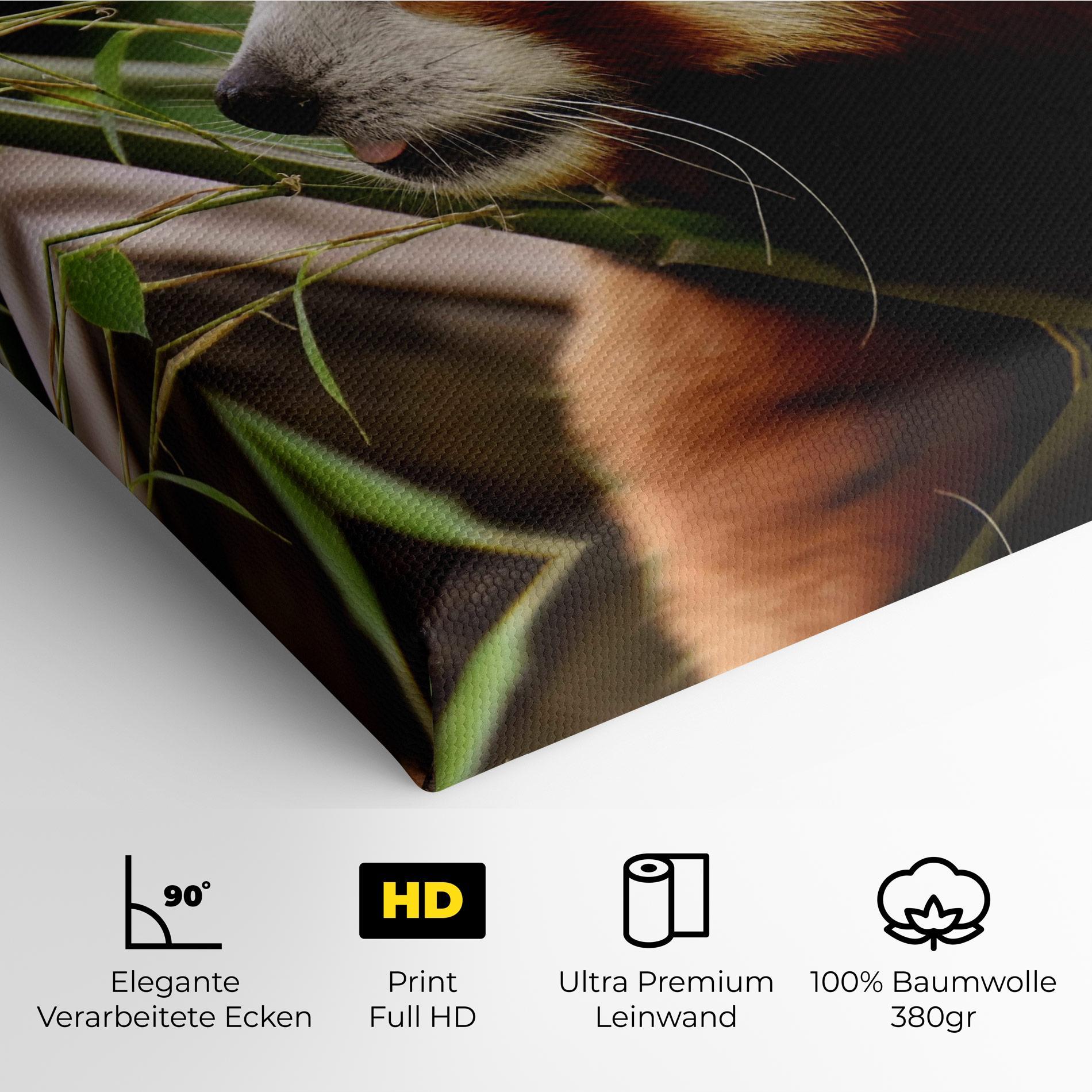 Leinwandbild Cute Red Panda mockup 4