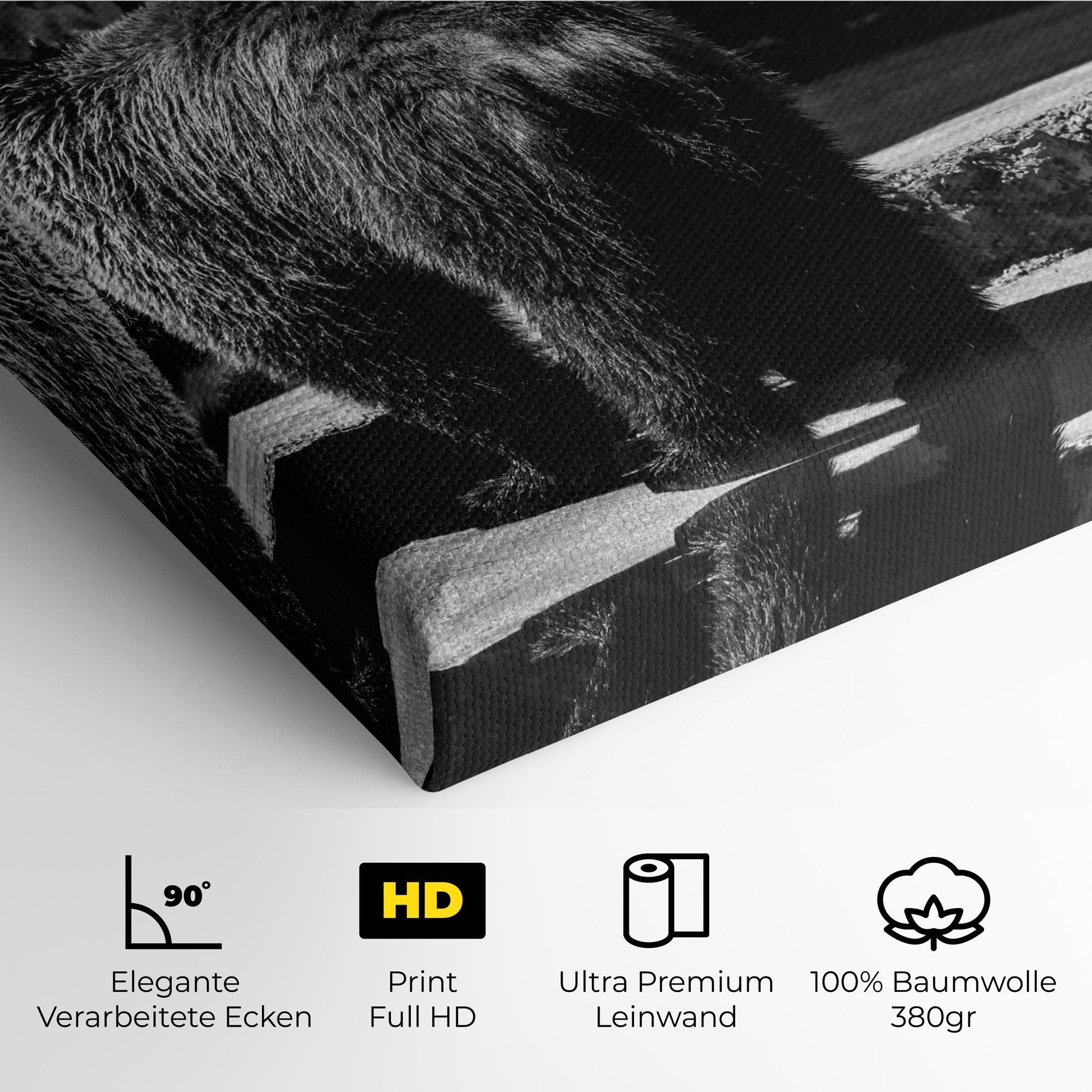 Leinwandbild Grey Bear mockup 4