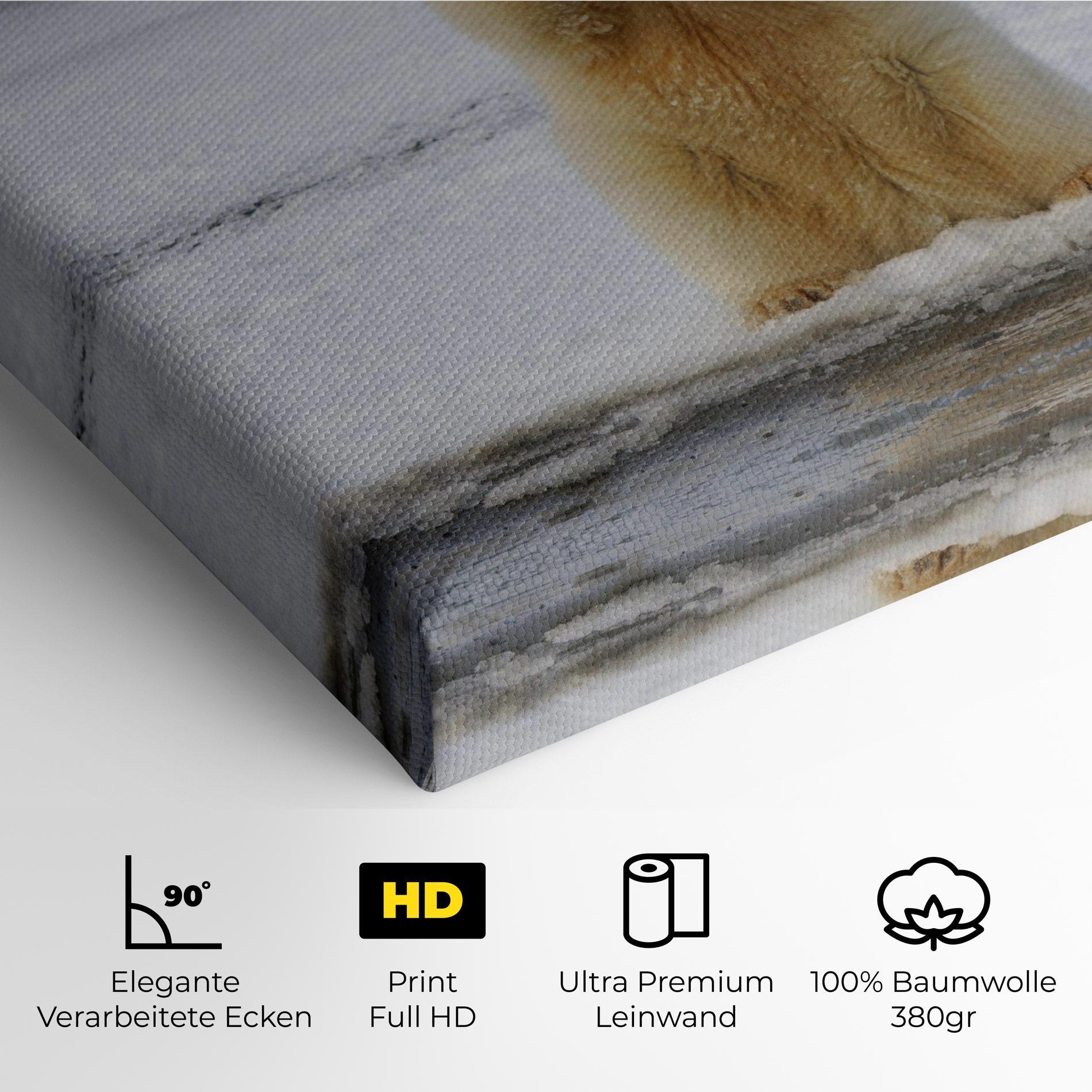 Leinwandbild Icebear Praying mockup 4