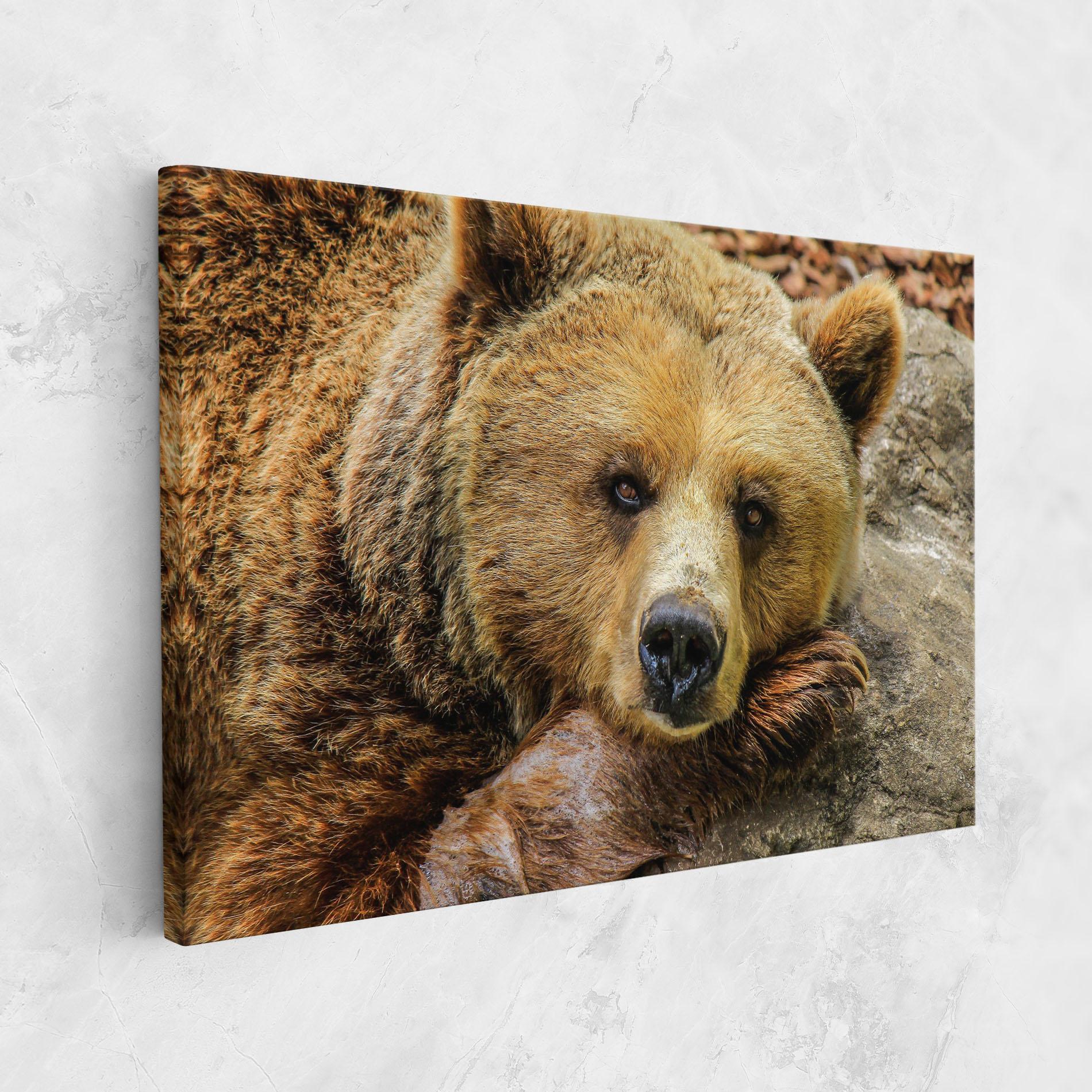 Leinwandbild Bear mockup 1
