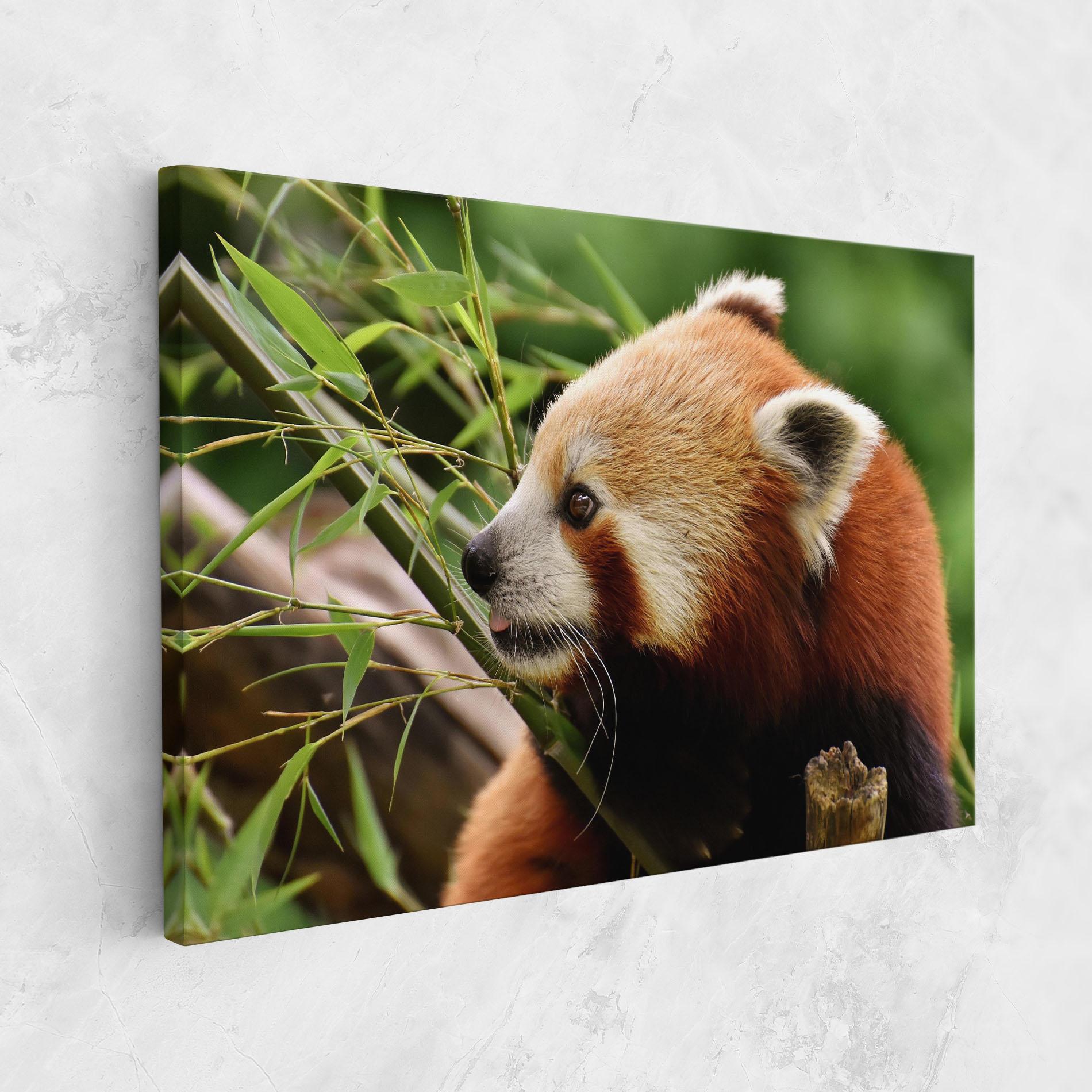 Leinwandbild Cute Red Panda mockup 1