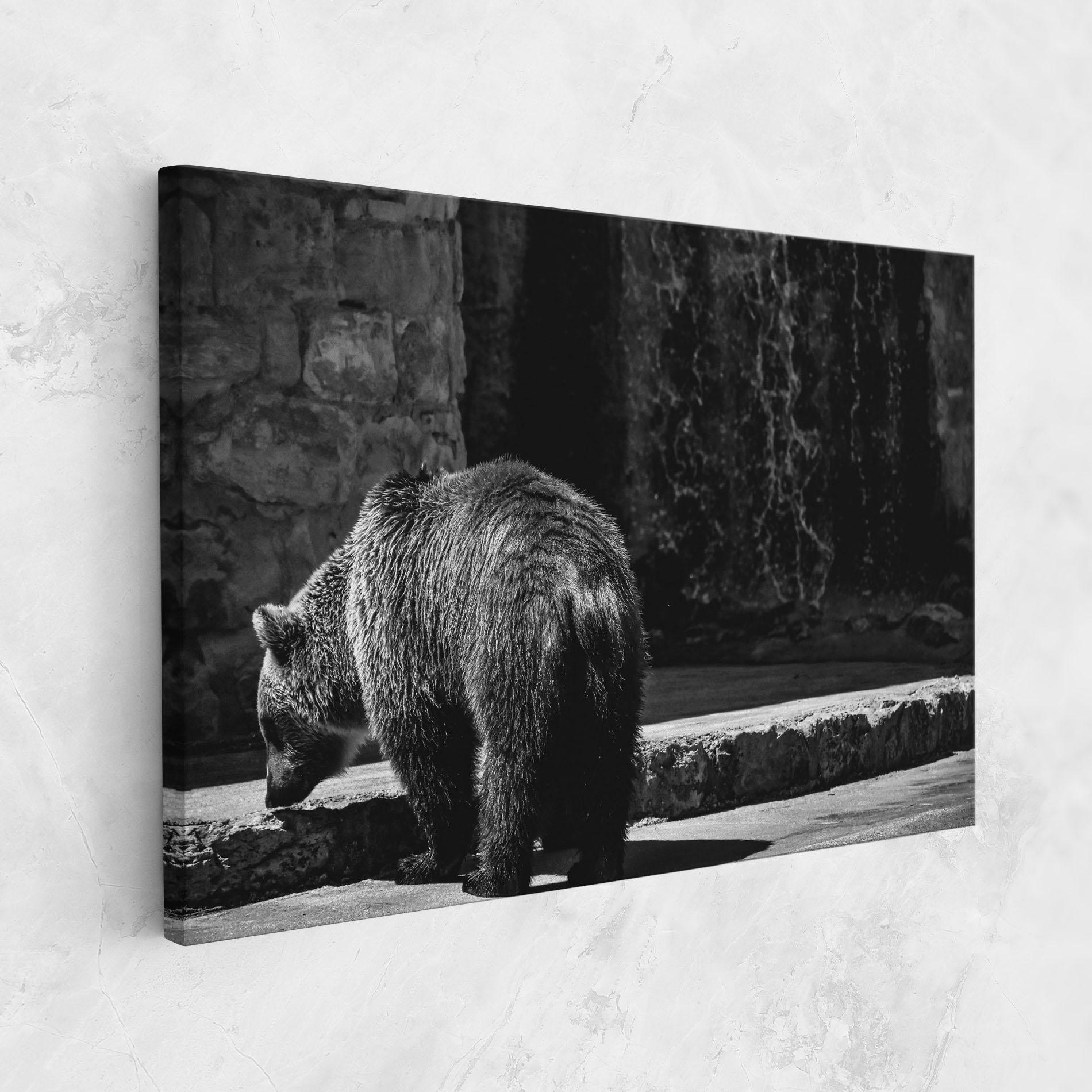 Leinwandbild Grey Bear mockup 1