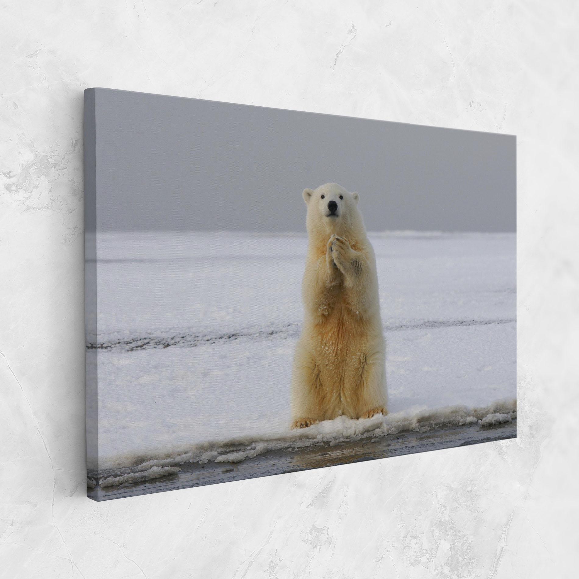 Leinwandbild Icebear Praying mockup 1