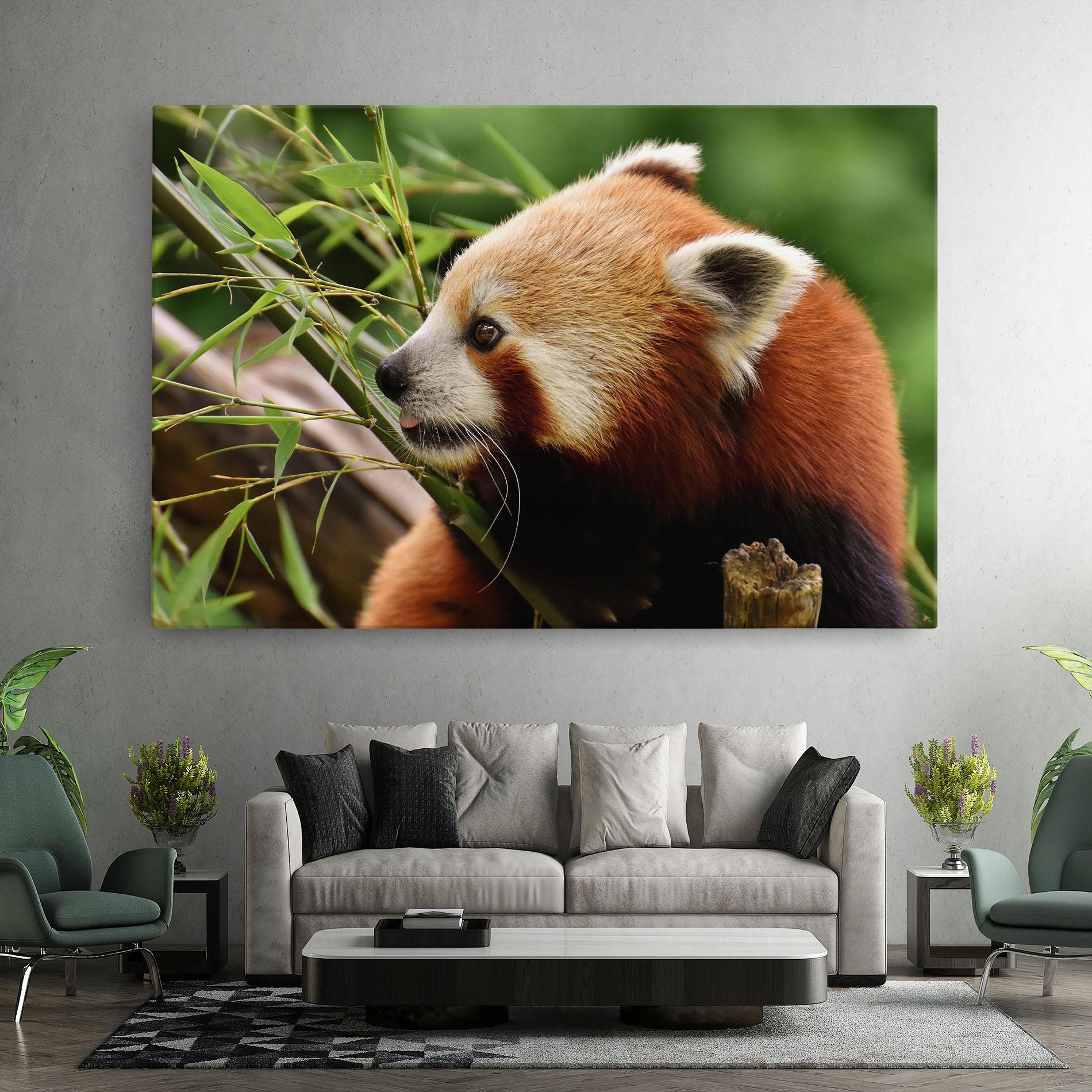 Leinwandbild Cute Red Panda mockup 7
