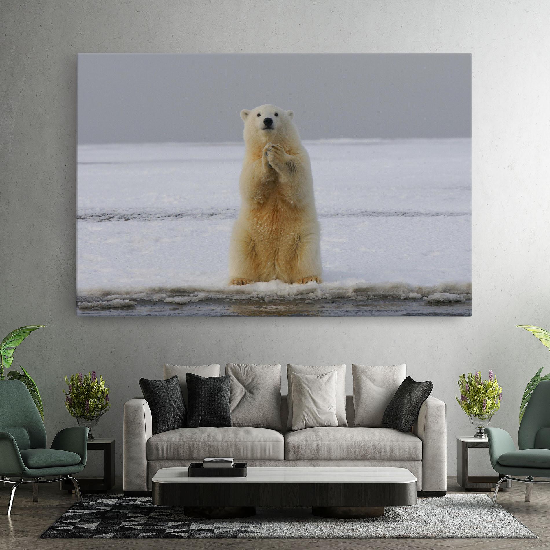 Leinwandbild Icebear Praying mockup 7